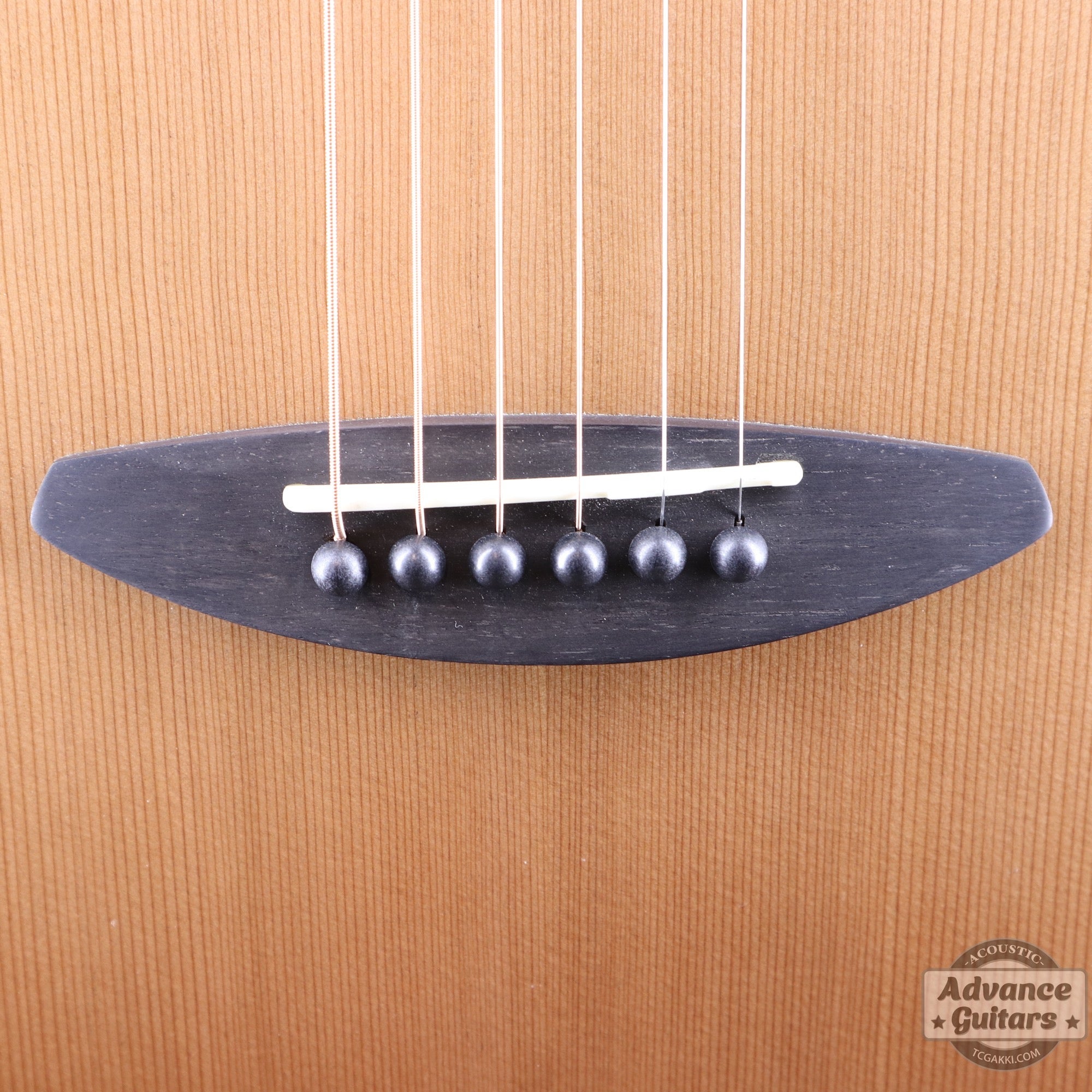 【傷有りのため特価】aNN - M60E【新品】 - TC楽器 - TCGAKKI