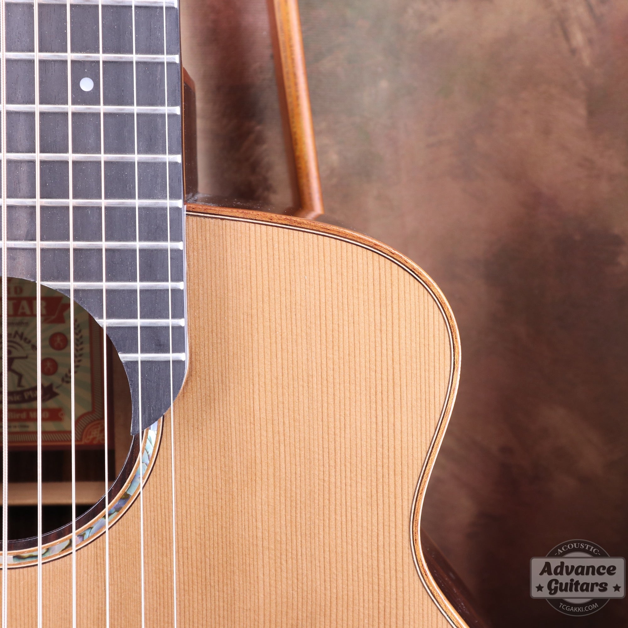 【傷有りのため特価】aNN - M60E【新品】 - TC楽器 - TCGAKKI