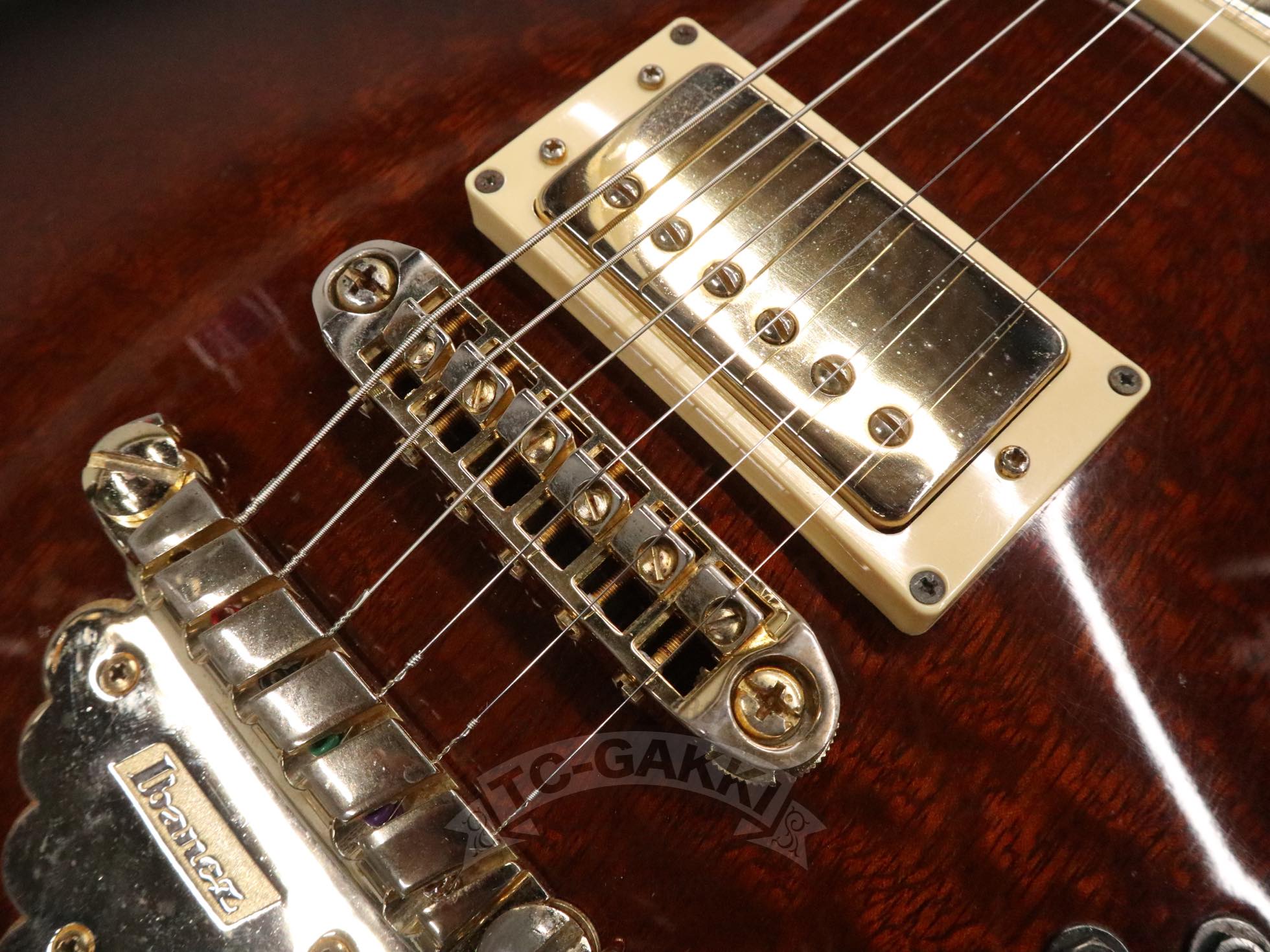 AR305 - TC楽器 - TCGAKKI