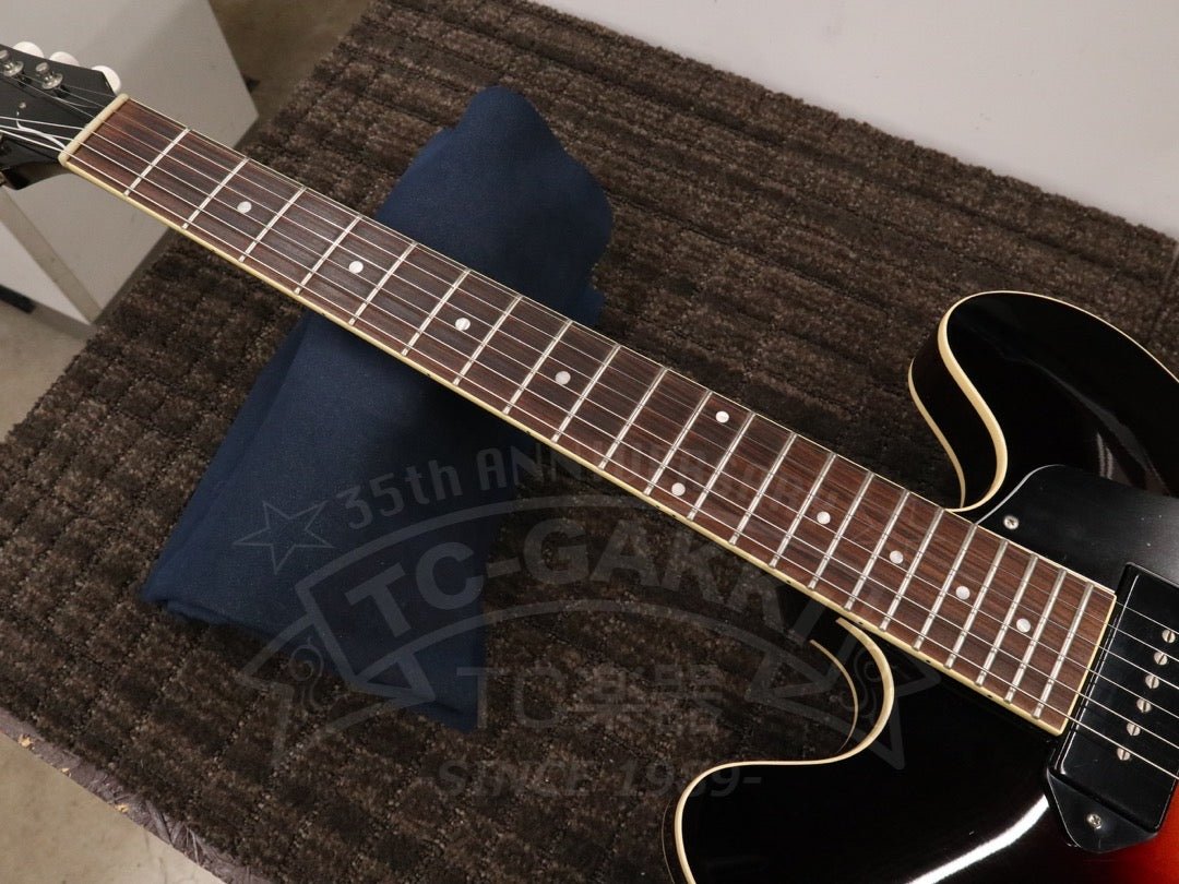 Archtop Tribute AT130 - TC楽器 - TCGAKKI