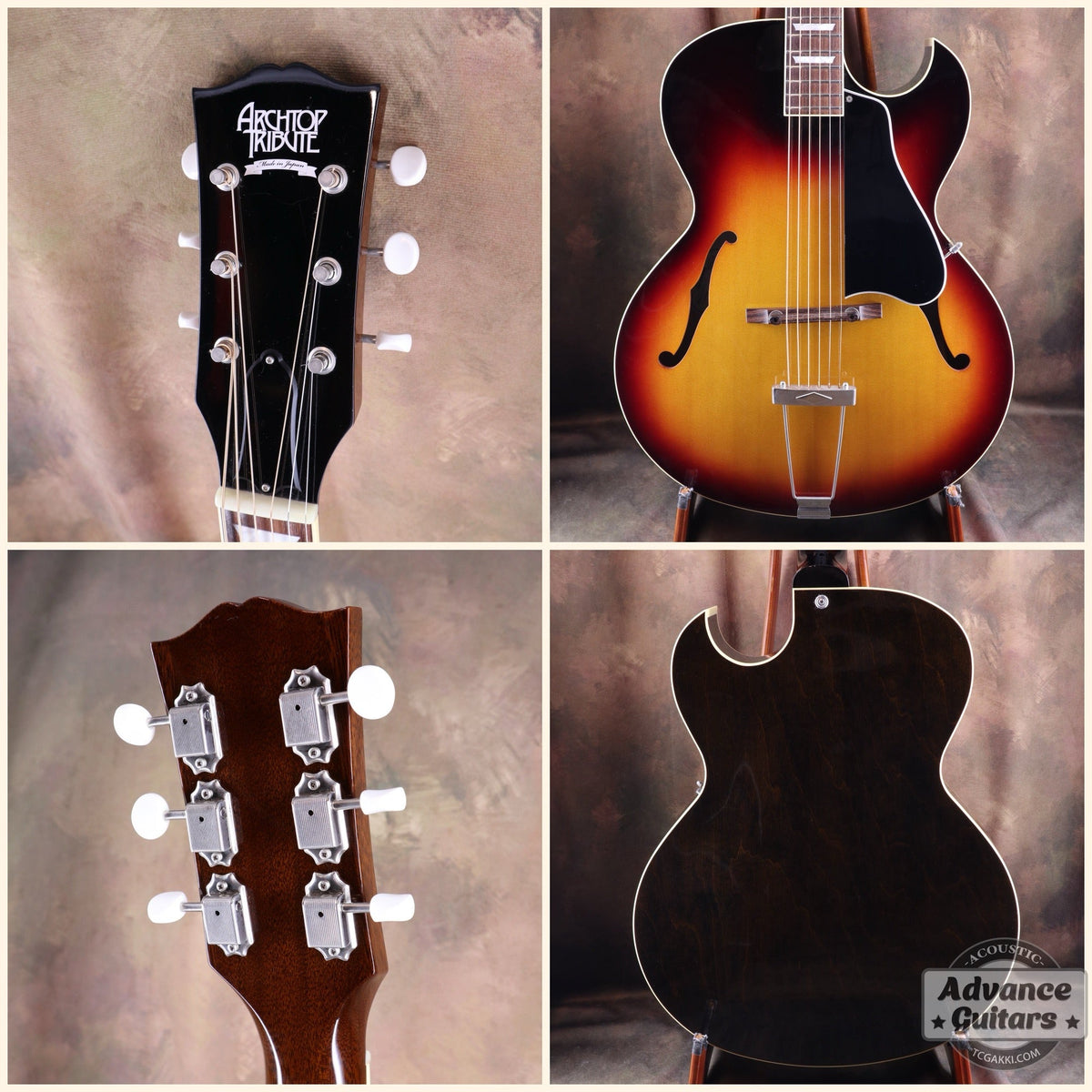 Archtop Tribute AT50C - TC楽器 - TCGAKKI