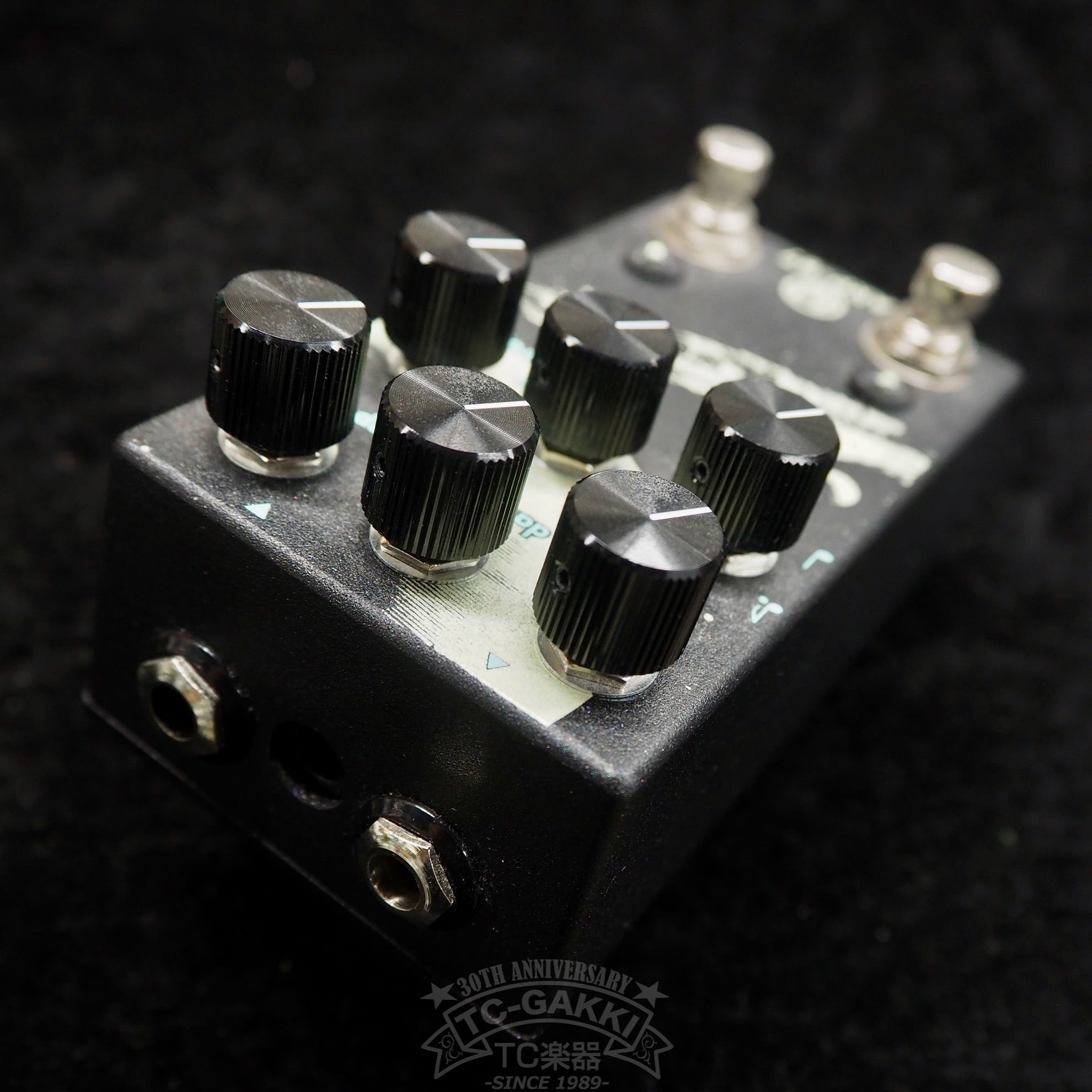WALRUS AUDIO ARP-87