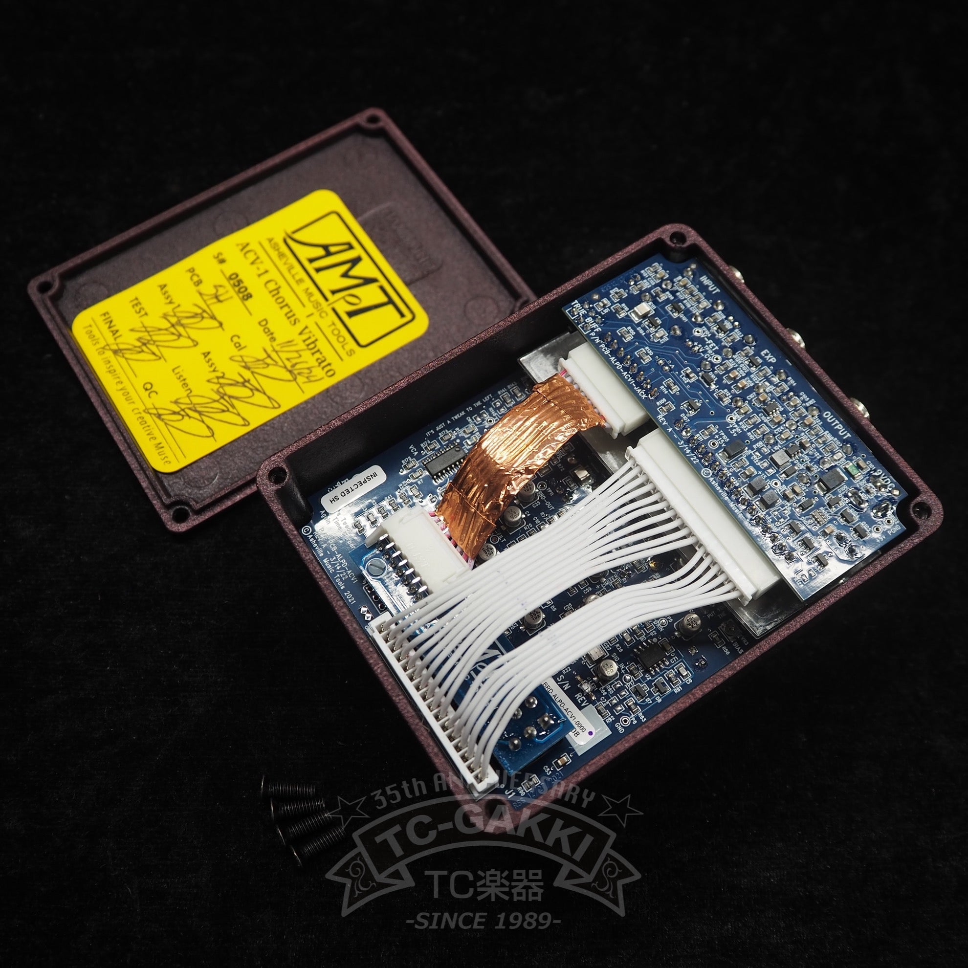 ASHEVILLE MUSIC TOOLS Analoger ACV-1 Chorus Vibrato - TC楽器 - TCGAKKI