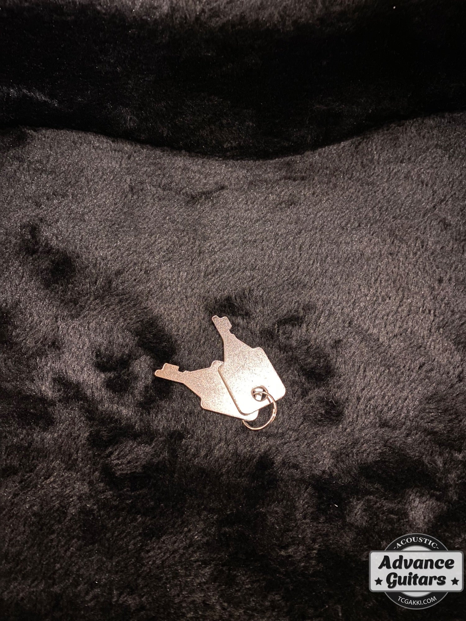 Baby Taylor/Martin LXケース【新品】