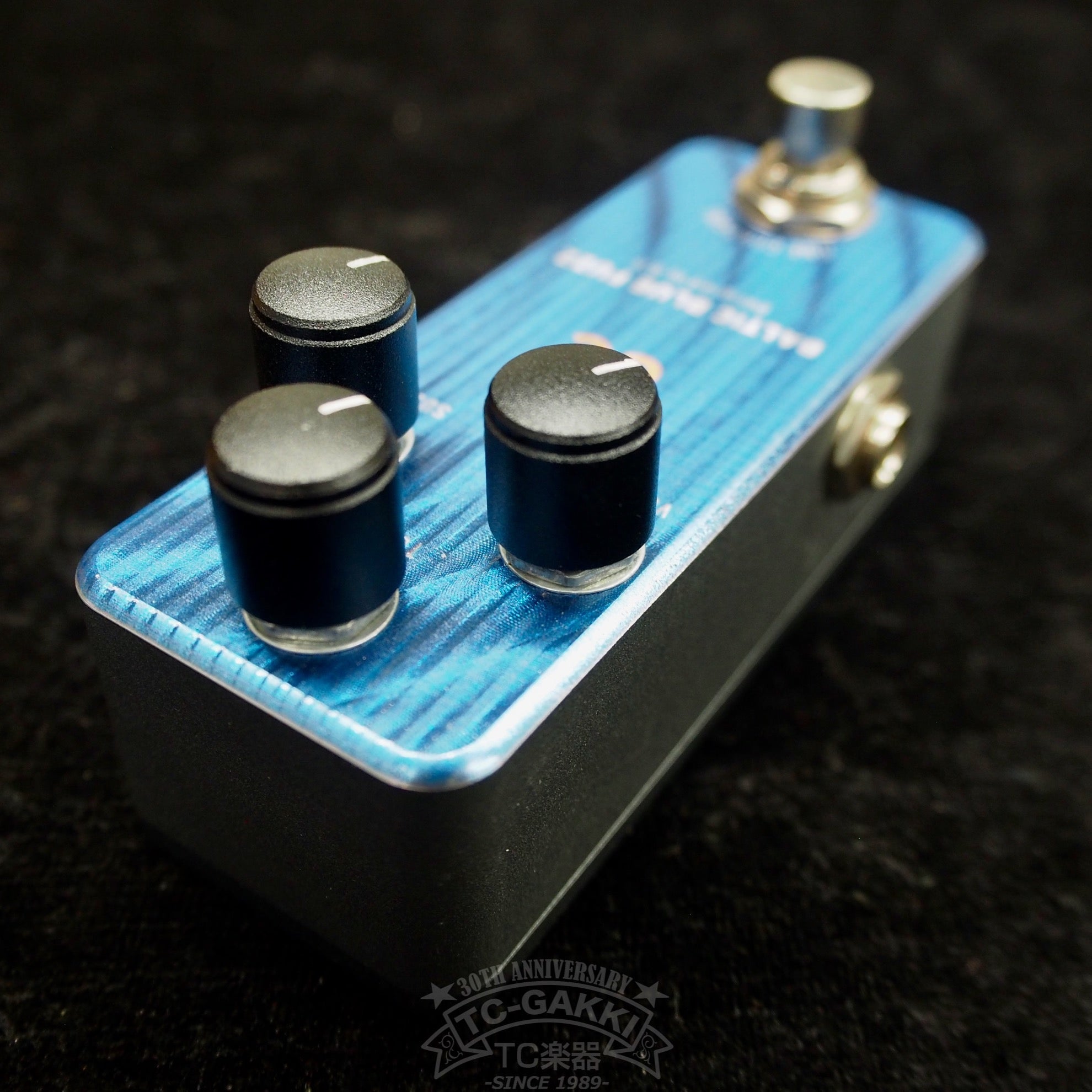 BALTIC BLUE FUZZ - TC楽器 - TCGAKKI