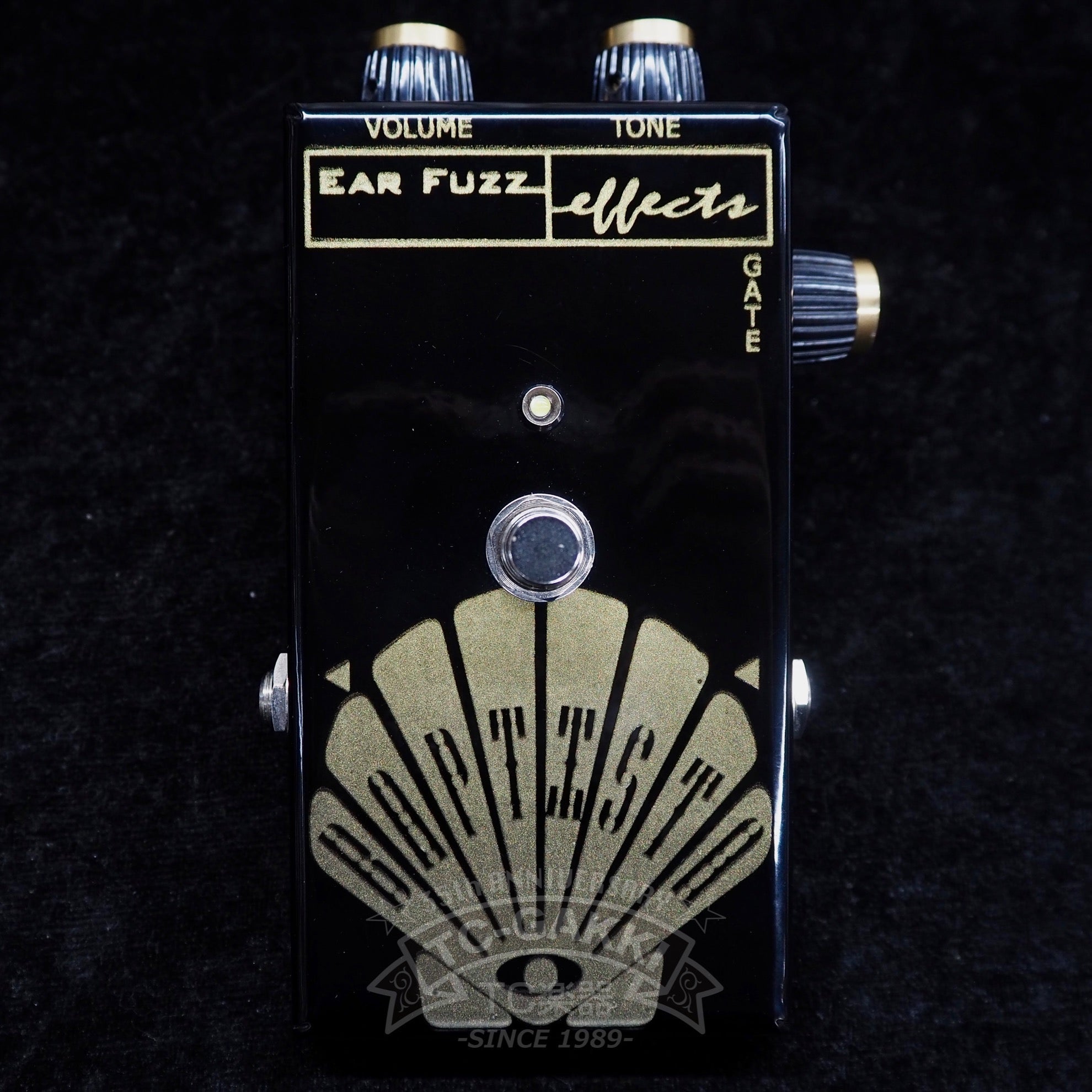 BAPTISTA "JAPAN LIMITED EDITION" - TC楽器 - TCGAKKI