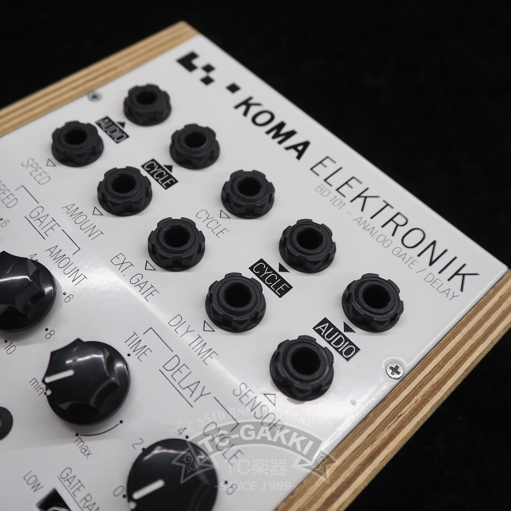 BD101 Analog Gate/Delay (incl. Internal Low Pass Filter) - TC楽器 - TCGAKKI