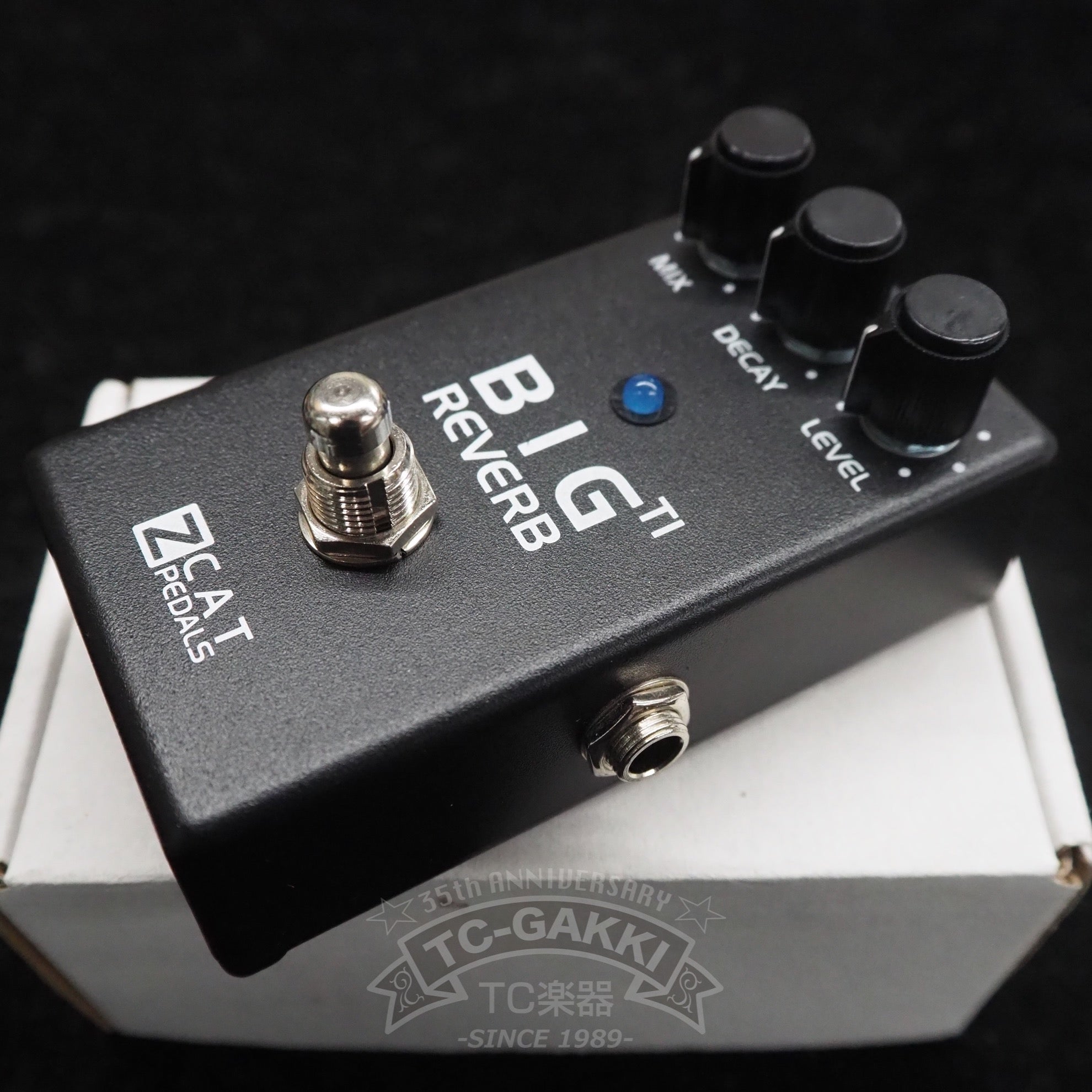 Big Reverb TI - TC楽器 - TCGAKKI