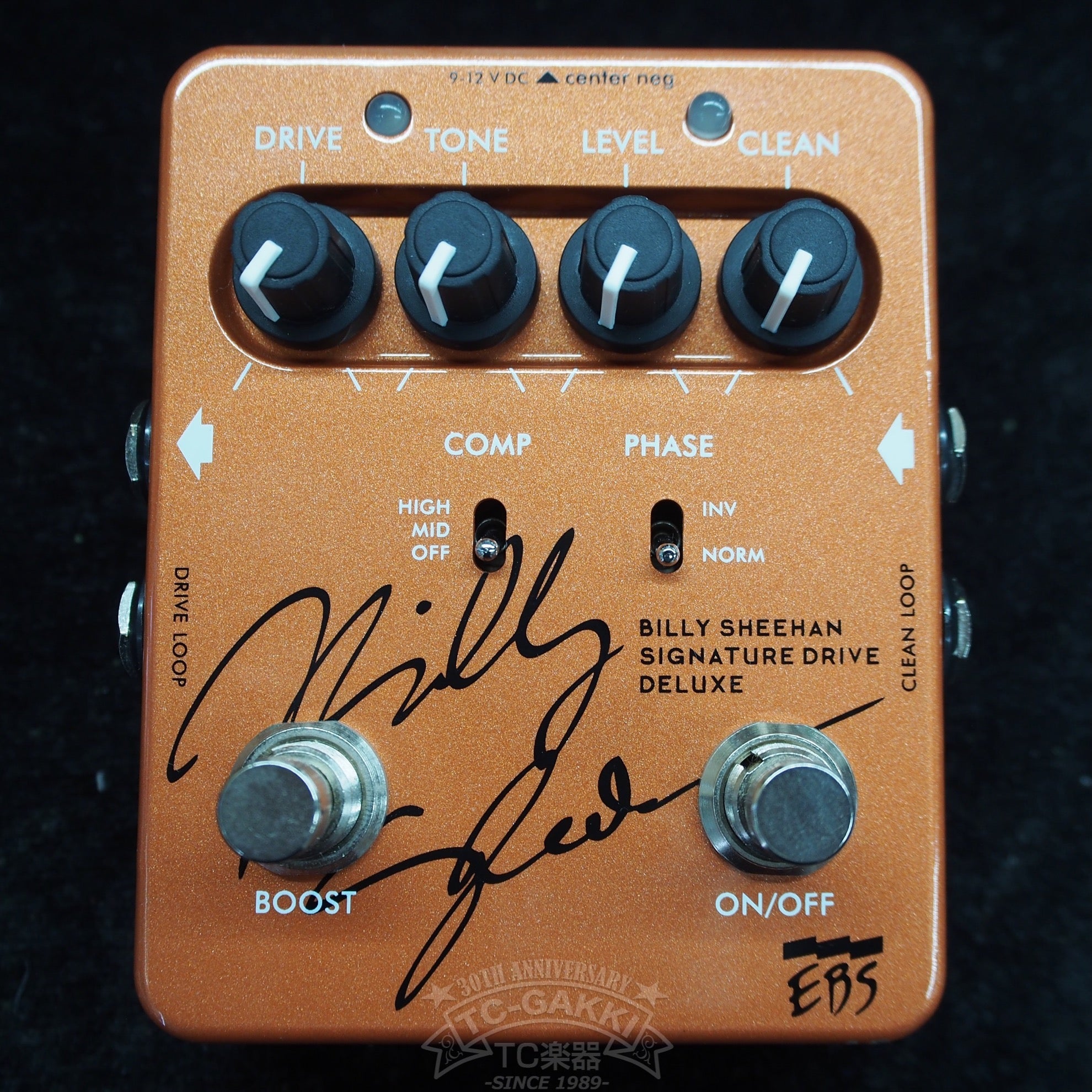 BILLY SHEEHAN SIGNATURE DRIVE DELUXE - TC楽器 - TCGAKKI