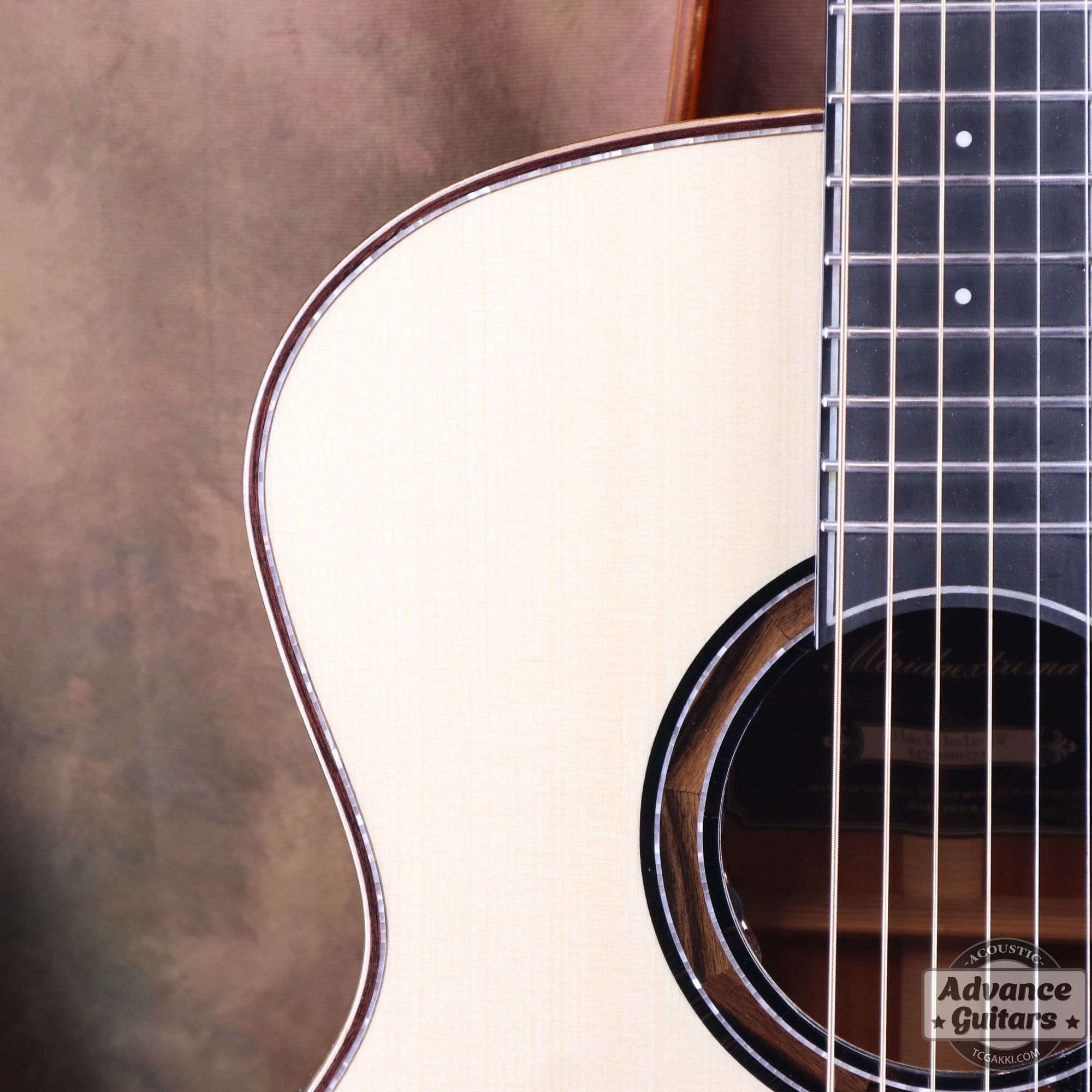 【新品】Black Hole - EQ - TC楽器 - TCGAKKI