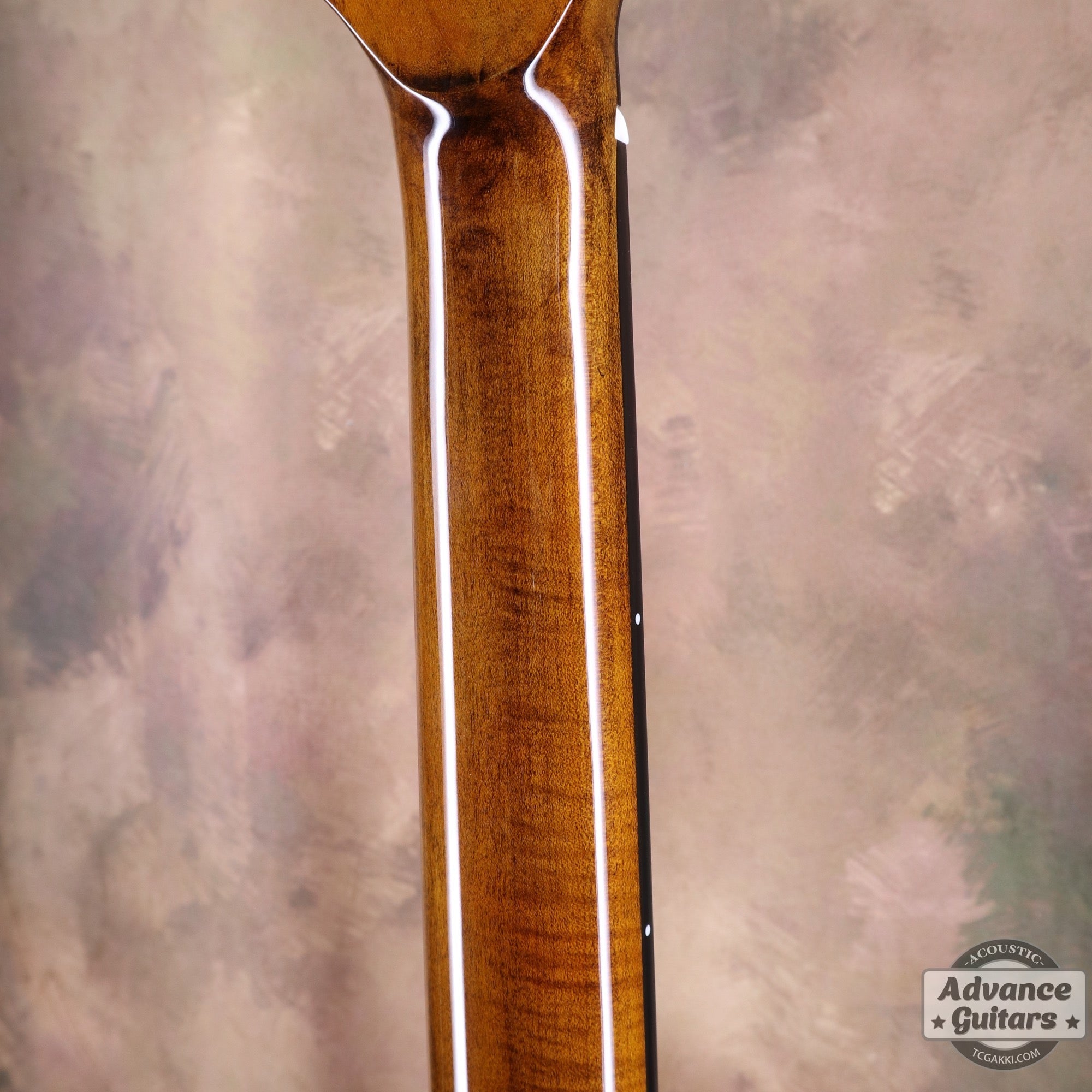 【新品】Black Hole - EQ - TC楽器 - TCGAKKI