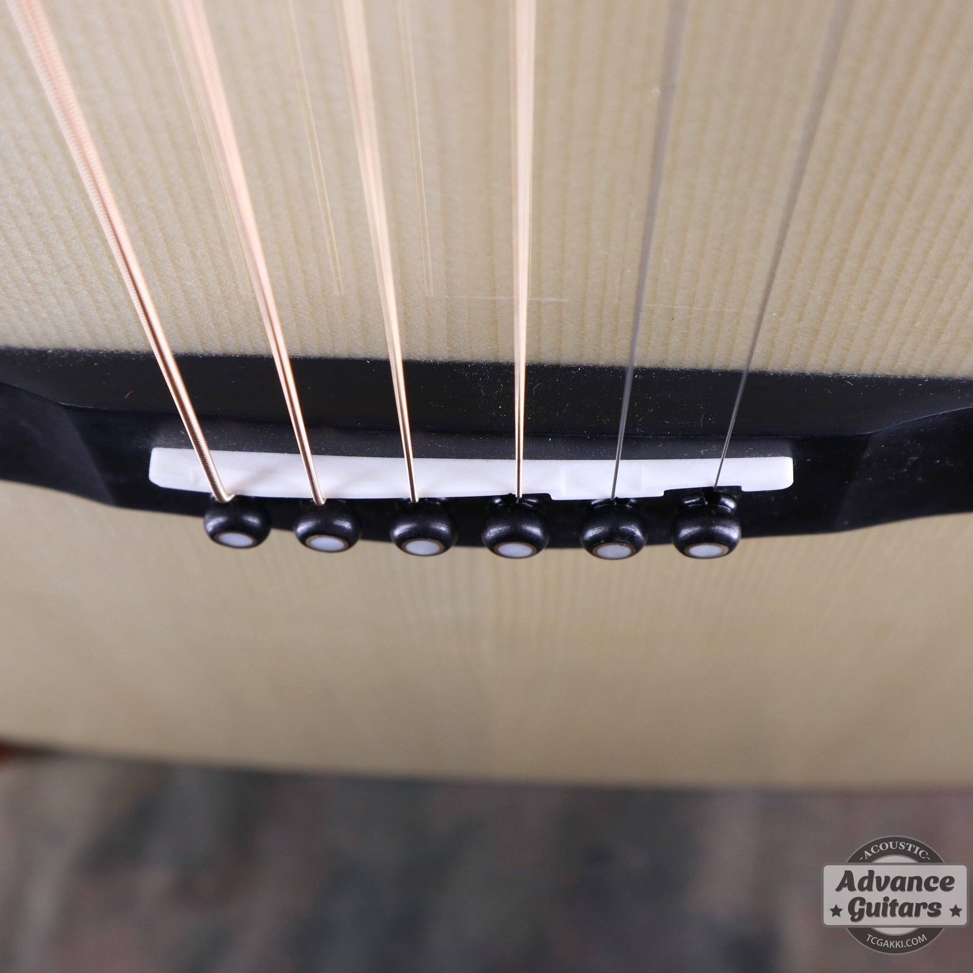 【新品】Black Hole - EQ - TC楽器 - TCGAKKI