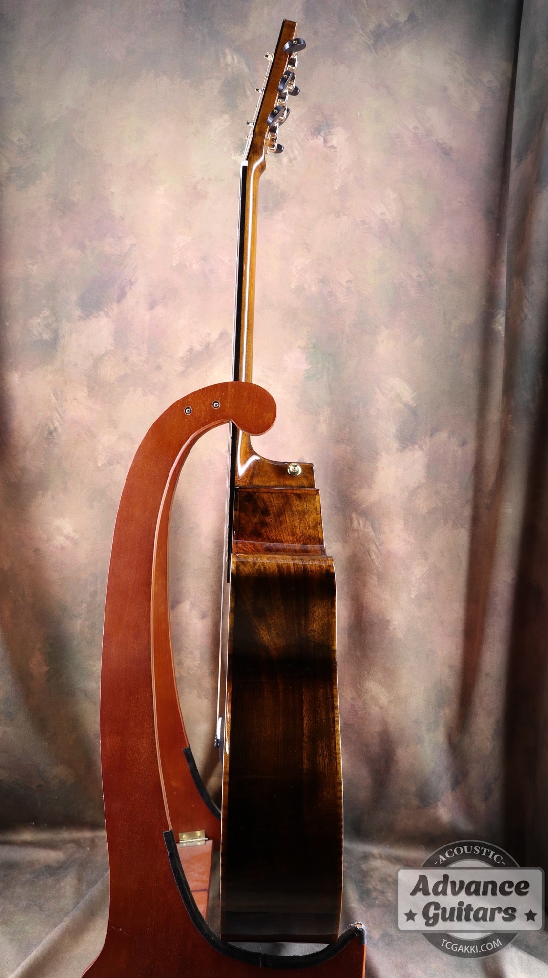 【新品】Black Hole - EQ - TC楽器 - TCGAKKI