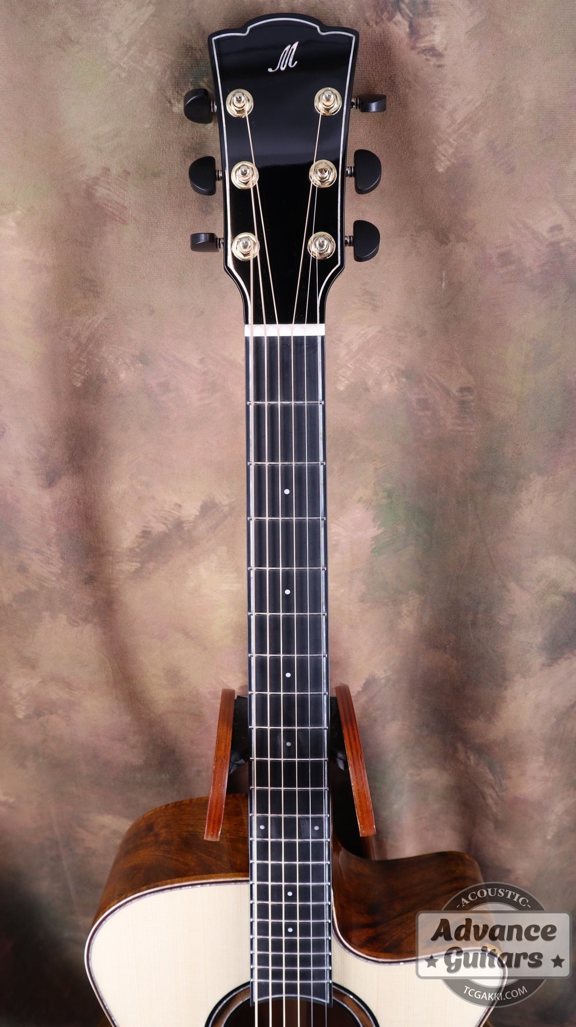 【新品】Black Hole - EQ - TC楽器 - TCGAKKI