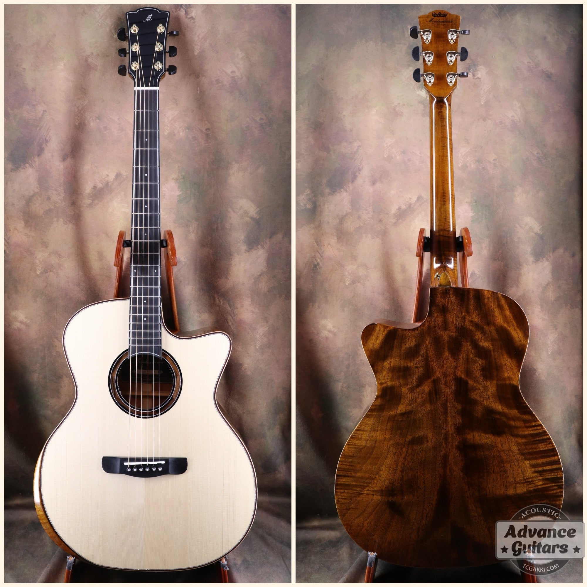 【新品】Black Hole - EQ - TC楽器 - TCGAKKI