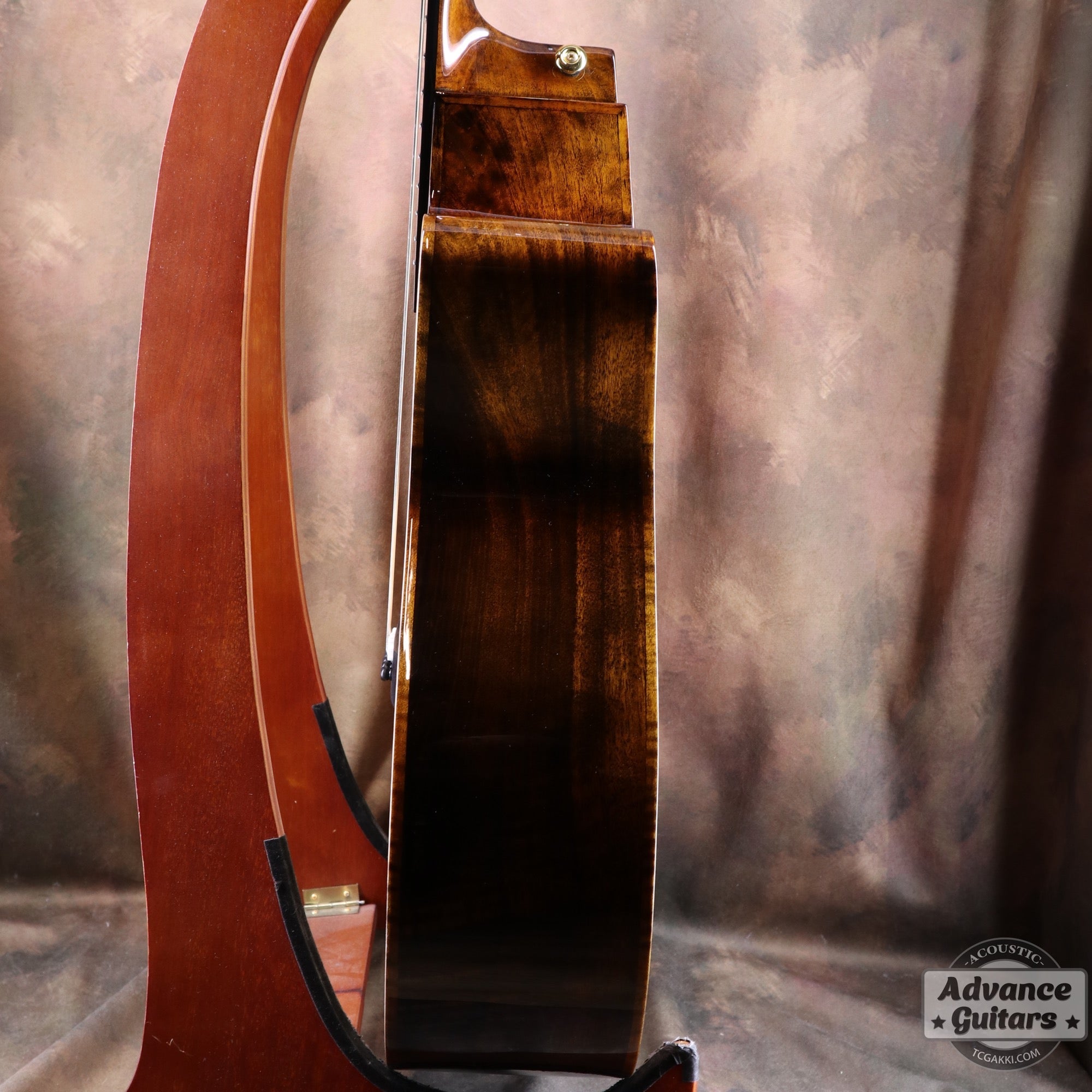 【新品】Black Hole - EQ - TC楽器 - TCGAKKI