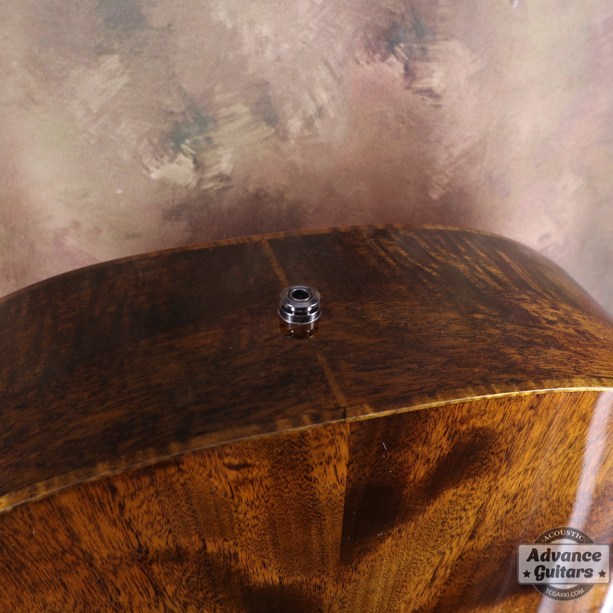 【新品】Black Hole - EQ - TC楽器 - TCGAKKI