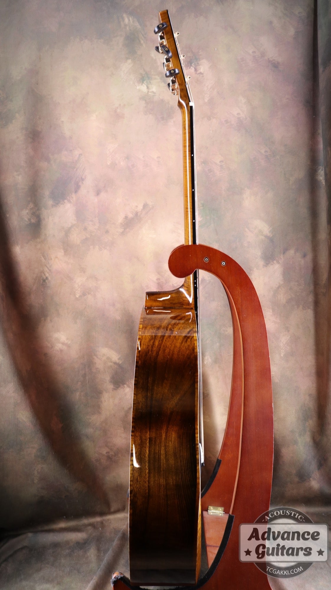 【新品】Black Hole - EQ - TC楽器 - TCGAKKI