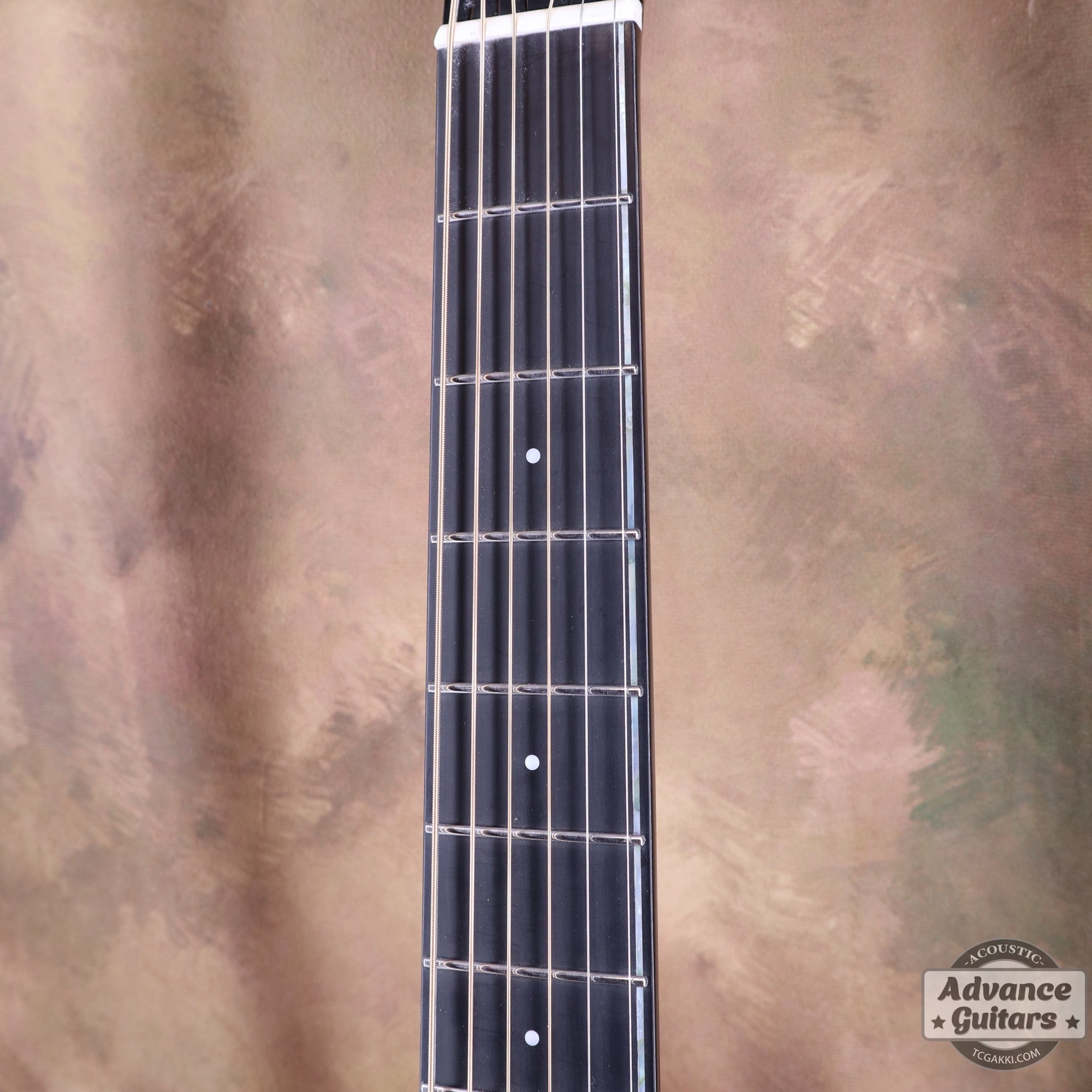 【新品】Black Hole - EQ - TC楽器 - TCGAKKI