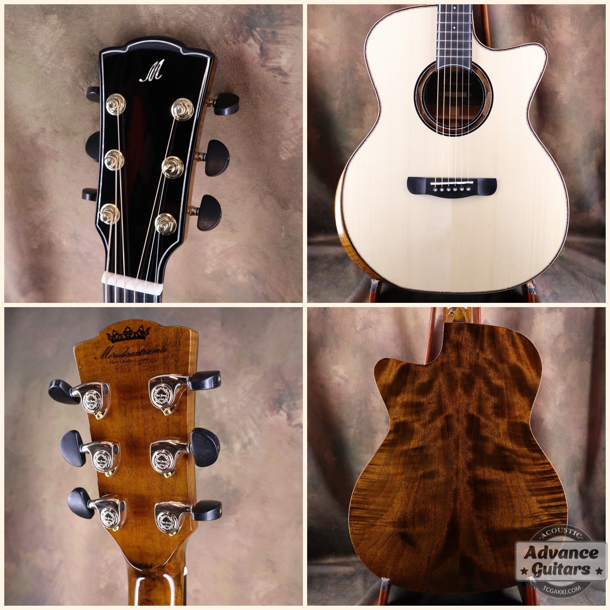 【新品】Black Hole - EQ - TC楽器 - TCGAKKI