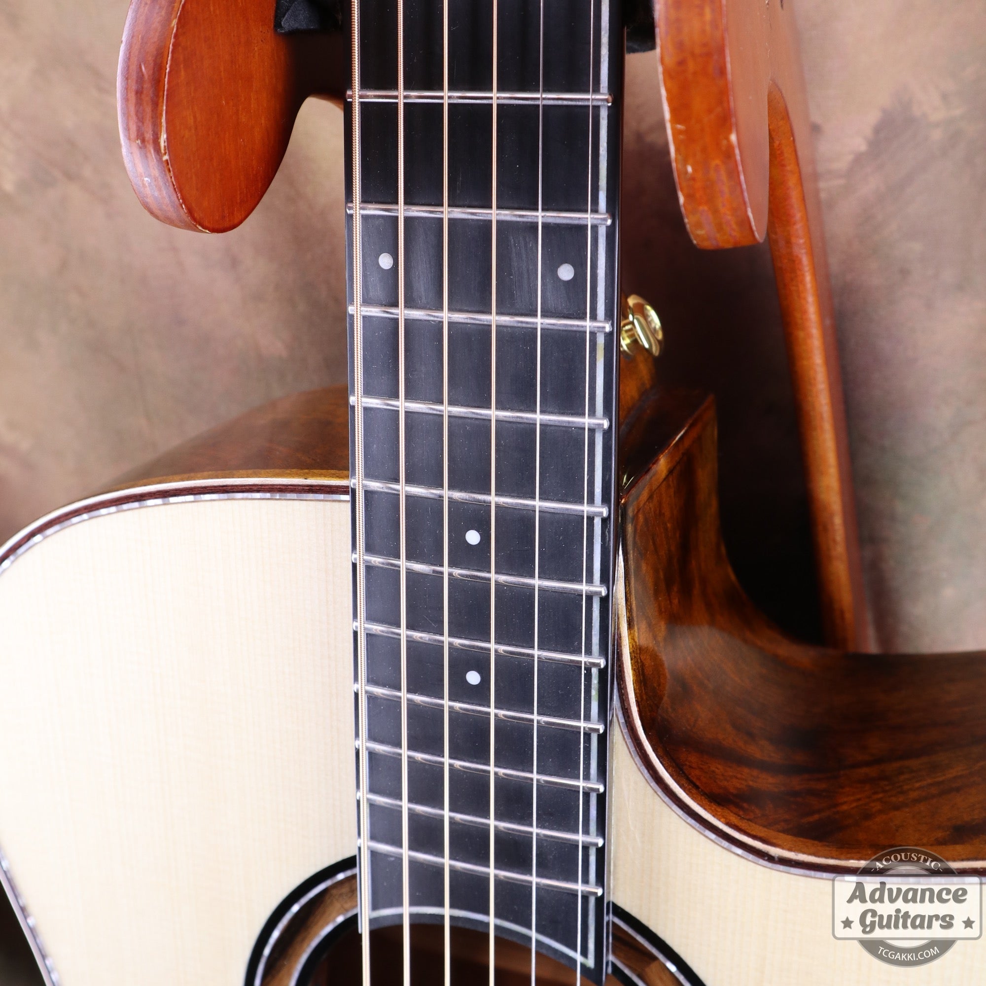 【新品】Black Hole - EQ - TC楽器 - TCGAKKI