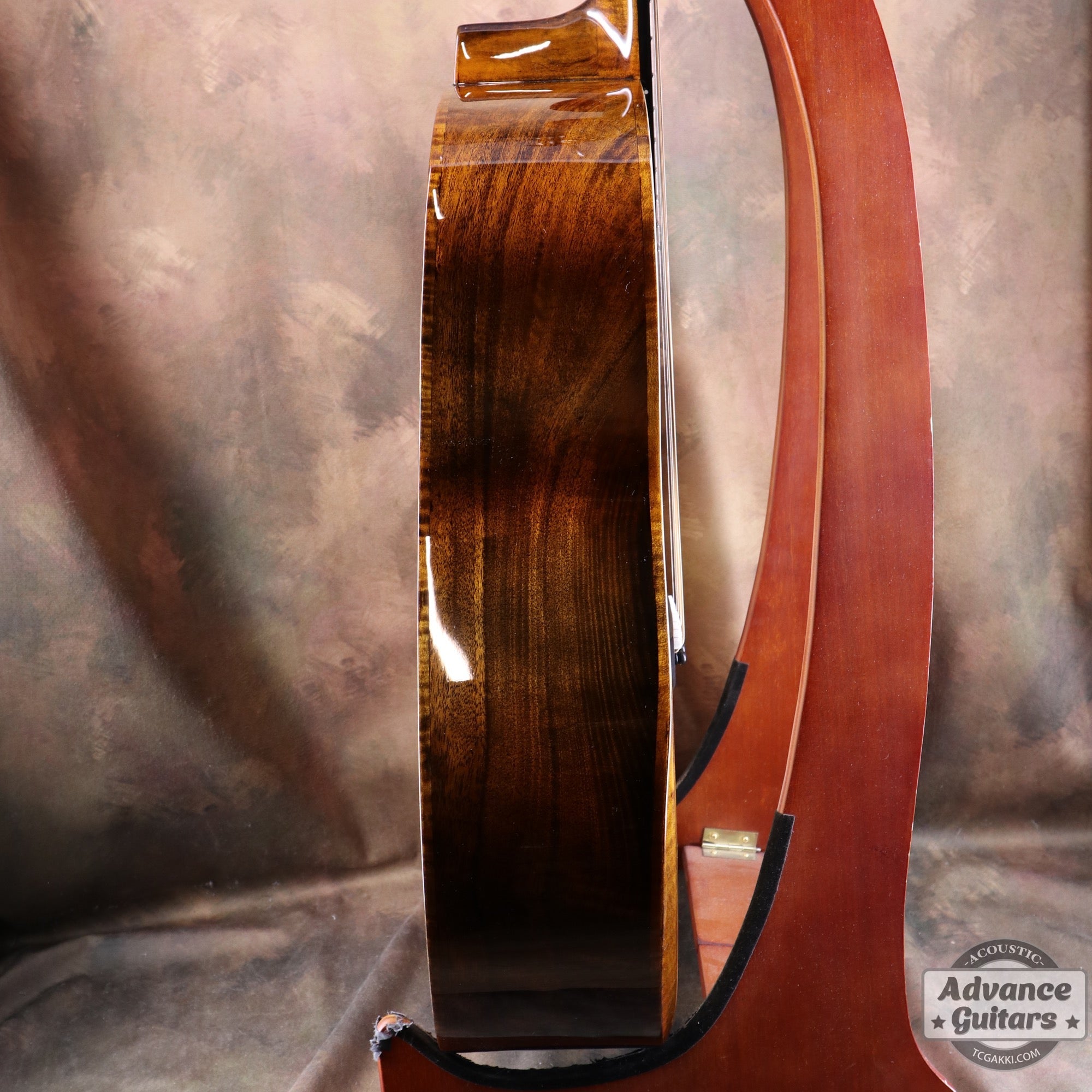 【新品】Black Hole - EQ - TC楽器 - TCGAKKI