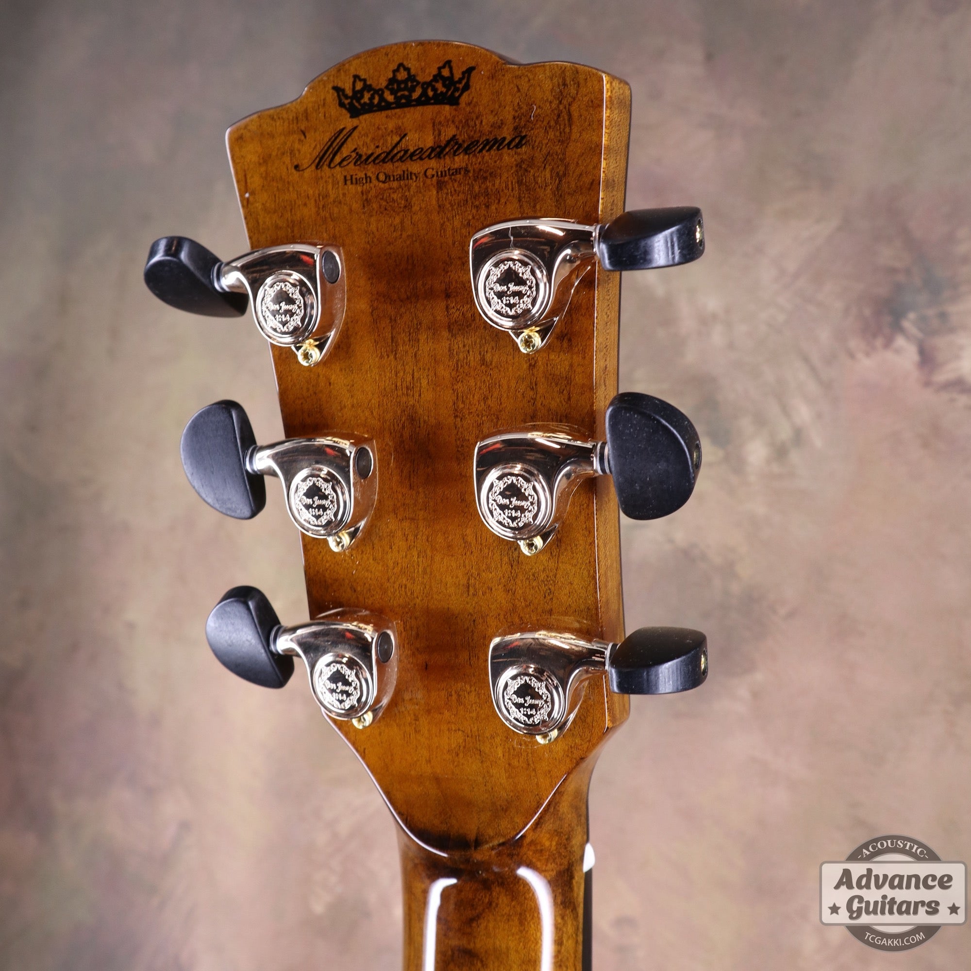 【新品】Black Hole - EQ - TC楽器 - TCGAKKI