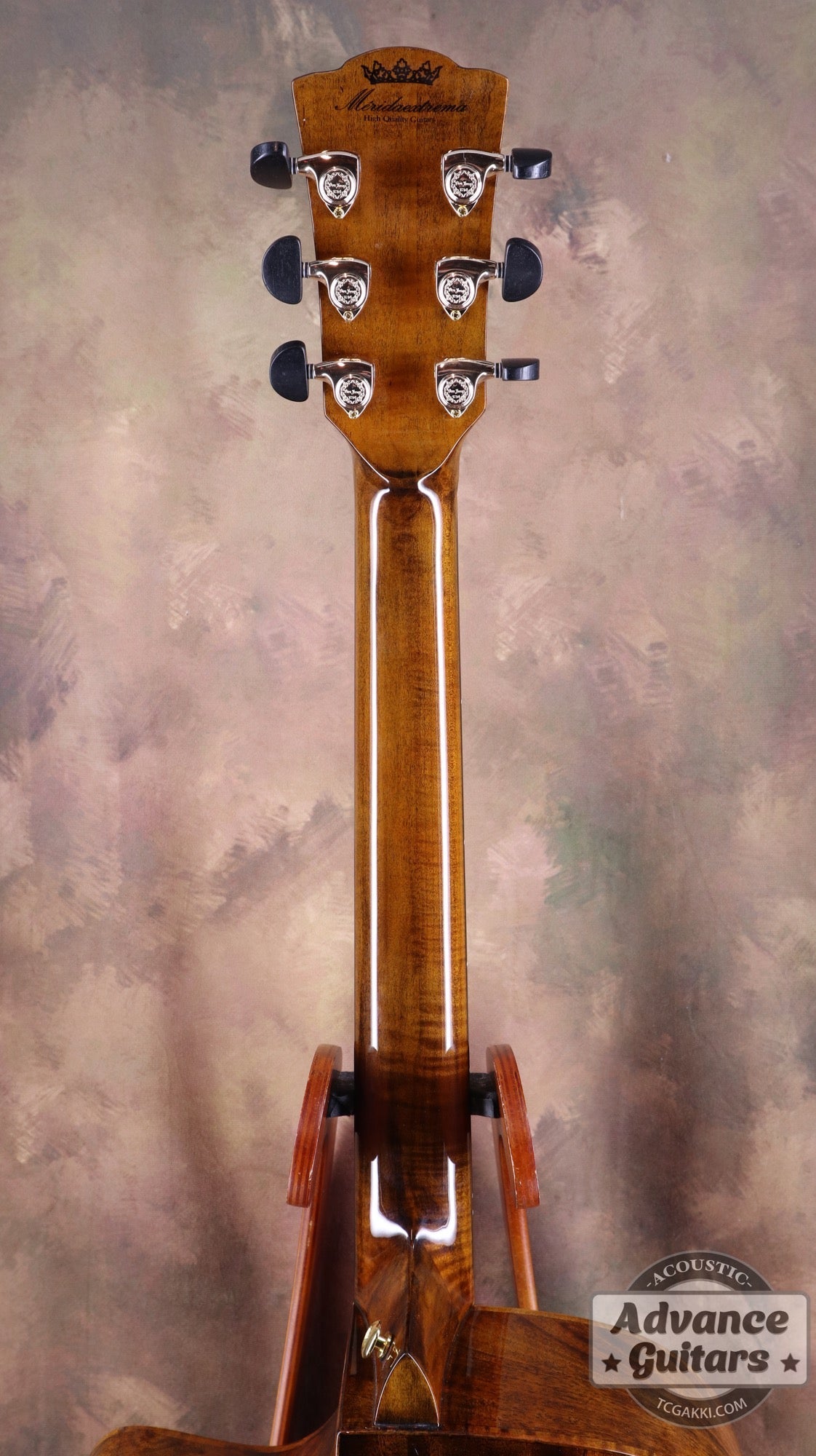 【新品】Black Hole - EQ - TC楽器 - TCGAKKI