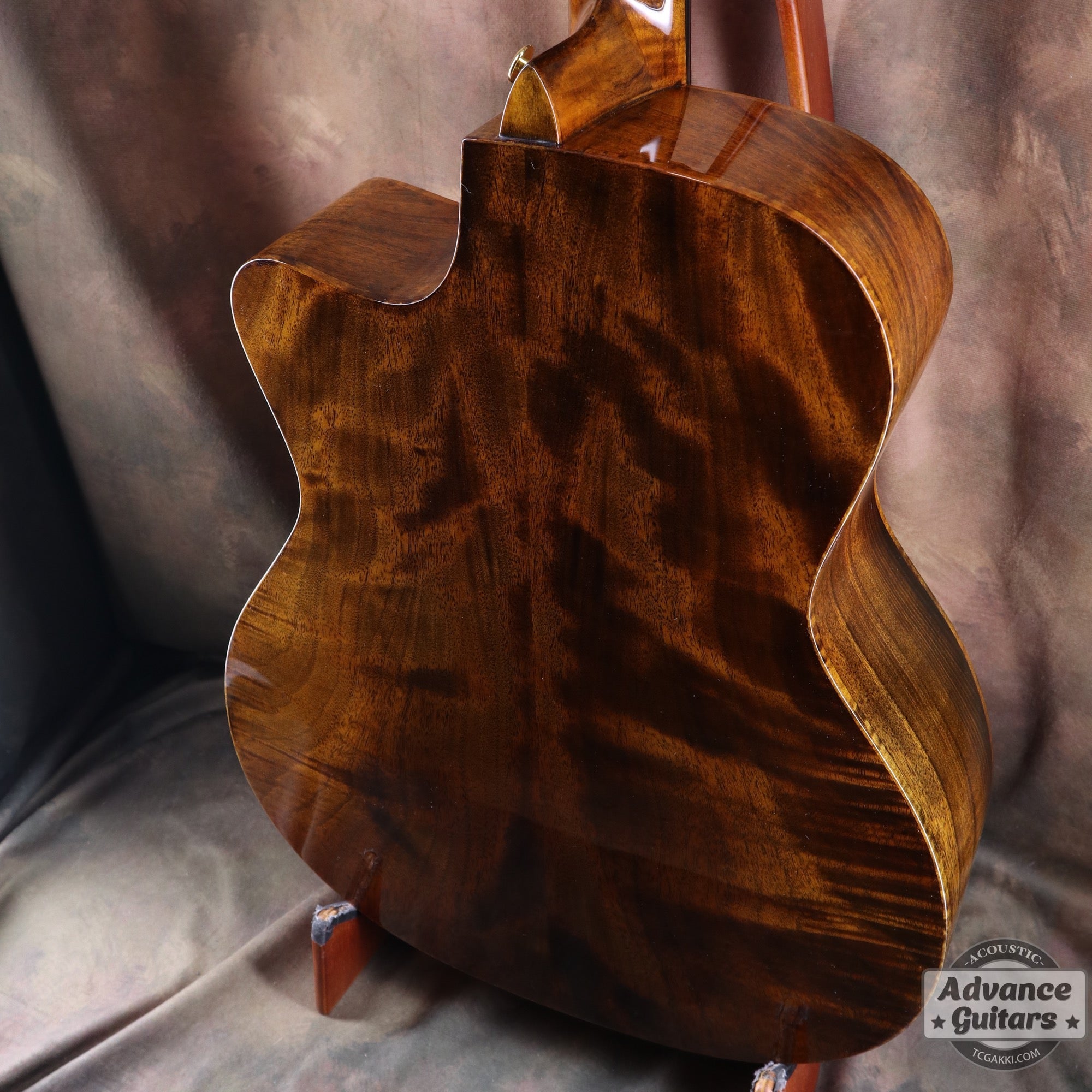 【新品】Black Hole - EQ - TC楽器 - TCGAKKI