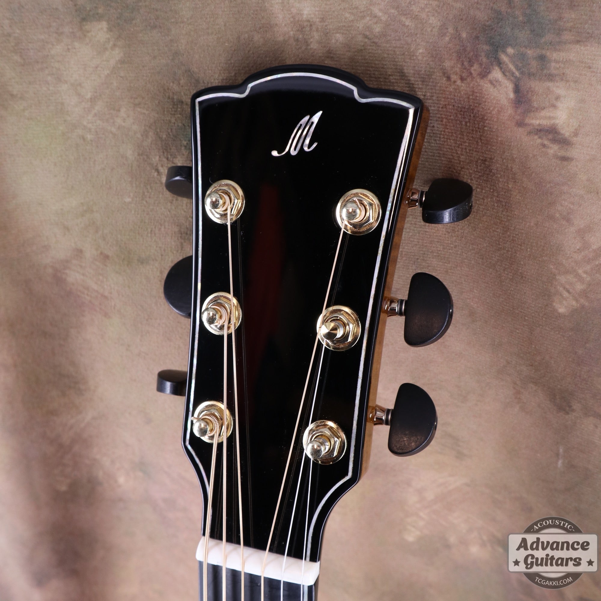 【新品】Black Hole - EQ - TC楽器 - TCGAKKI