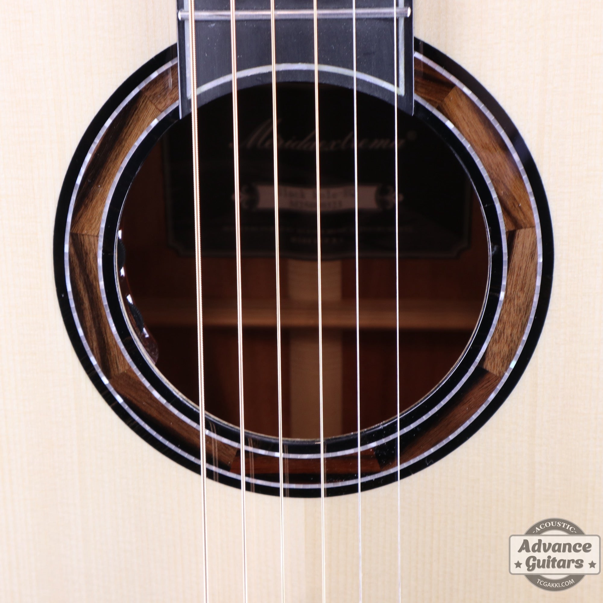 【新品】Black Hole - EQ - TC楽器 - TCGAKKI