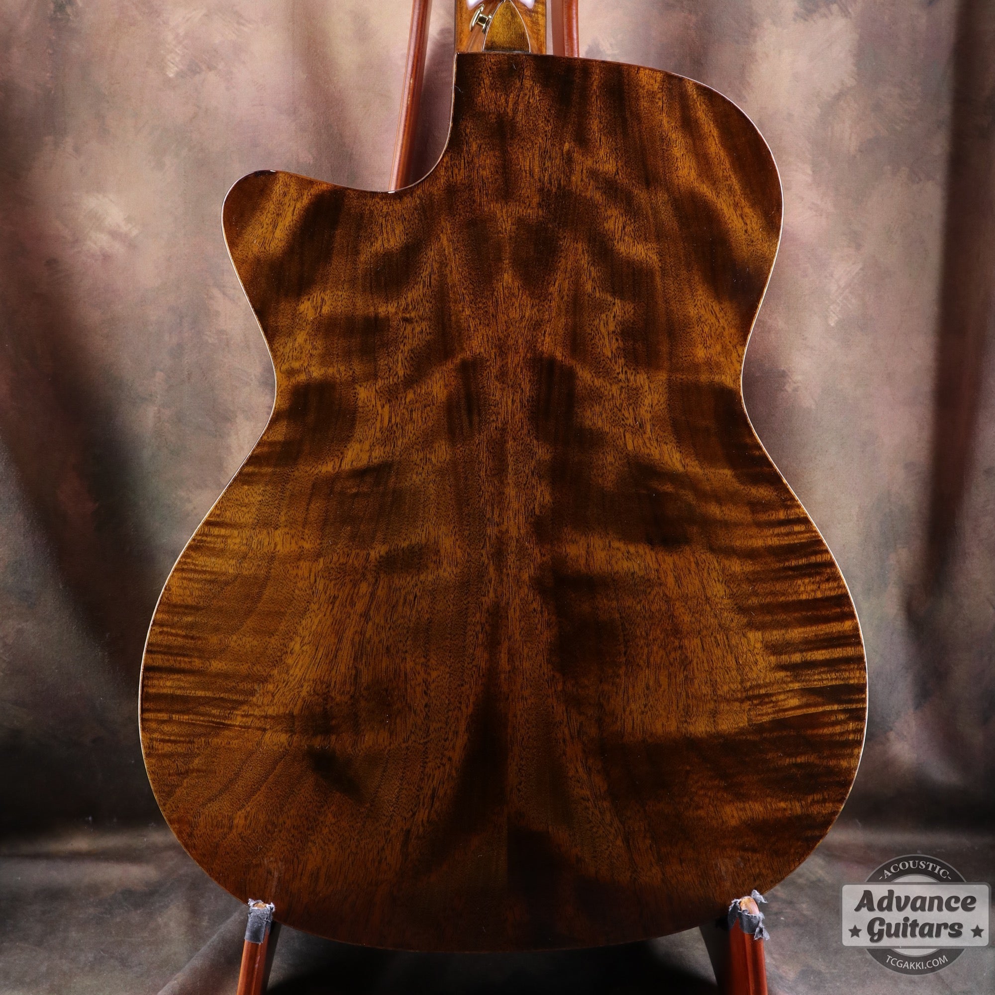 【新品】Black Hole - EQ - TC楽器 - TCGAKKI