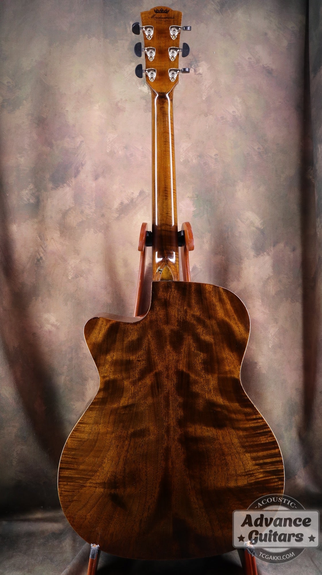 【新品】Black Hole - EQ - TC楽器 - TCGAKKI