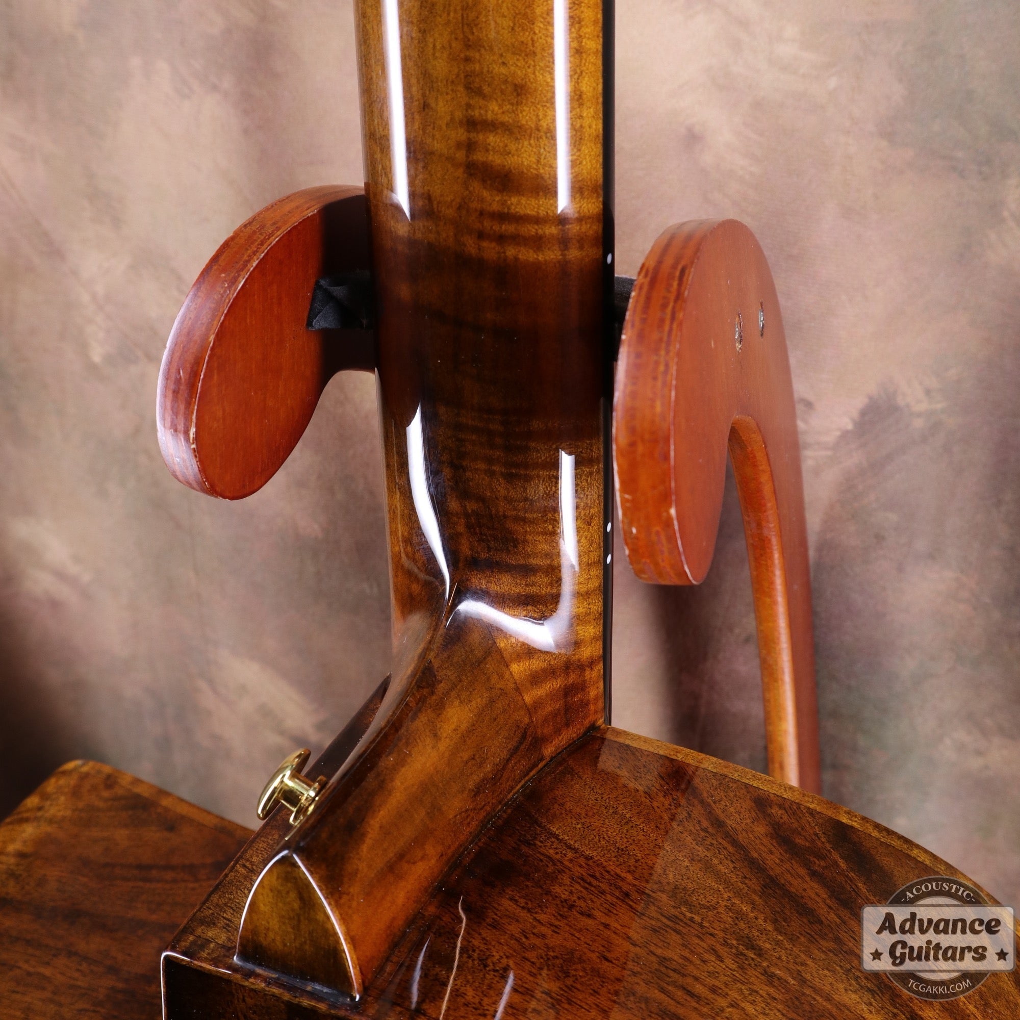 【新品】Black Hole - EQ - TC楽器 - TCGAKKI