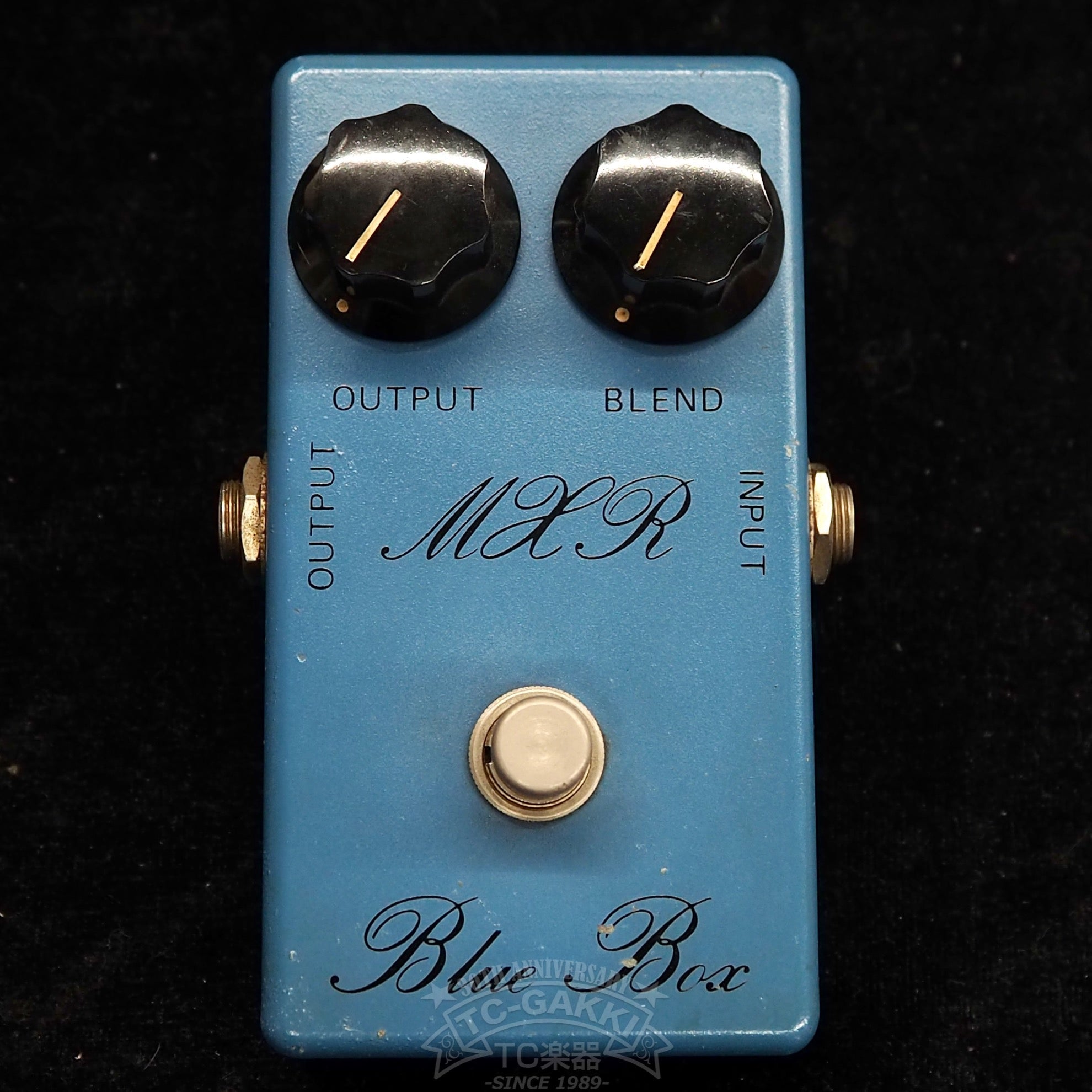 MXR Blue Box スクリプトロゴ Blue Box (Script Logo)