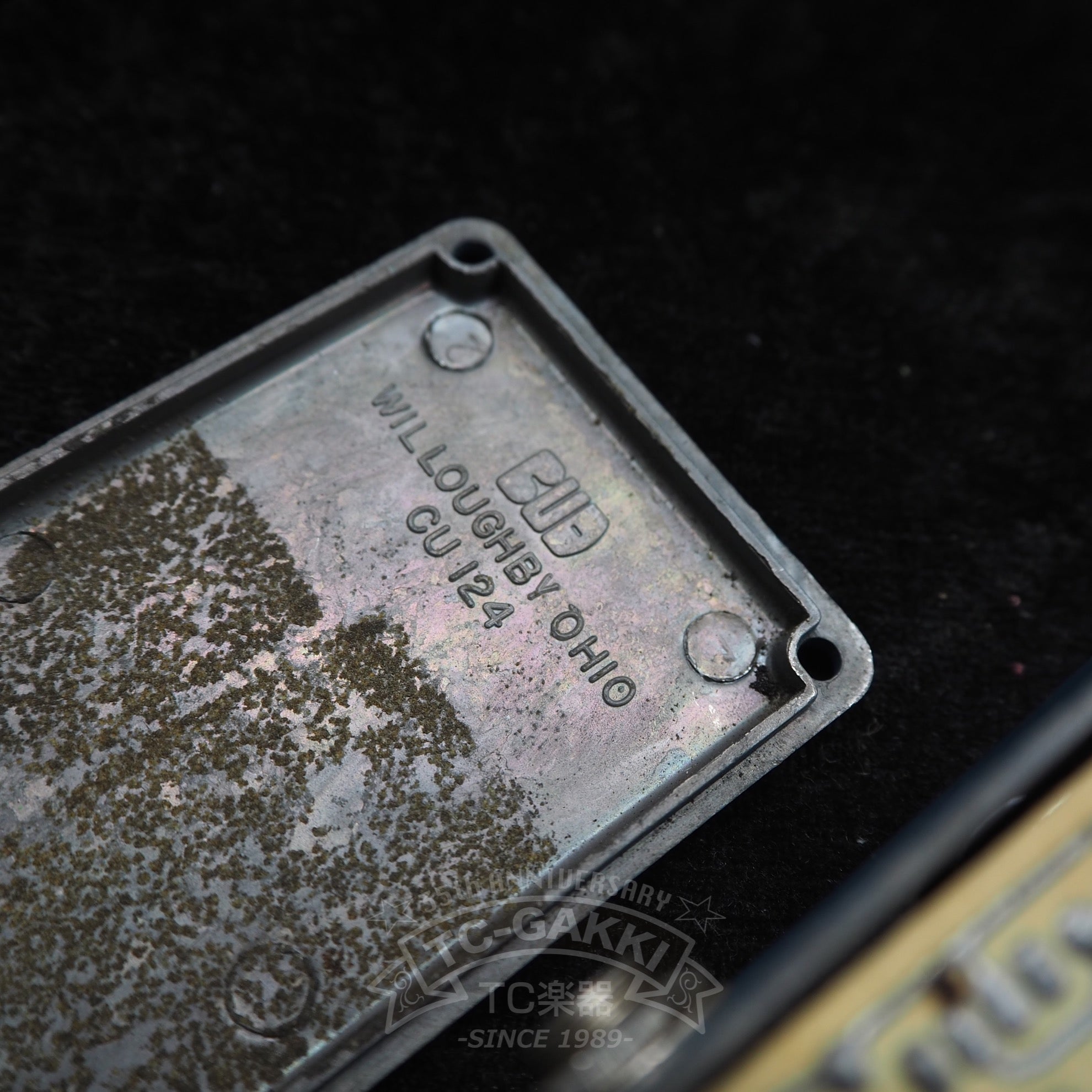 Blue Box (Script Logo/BUD Case) - TC楽器 - TCGAKKI