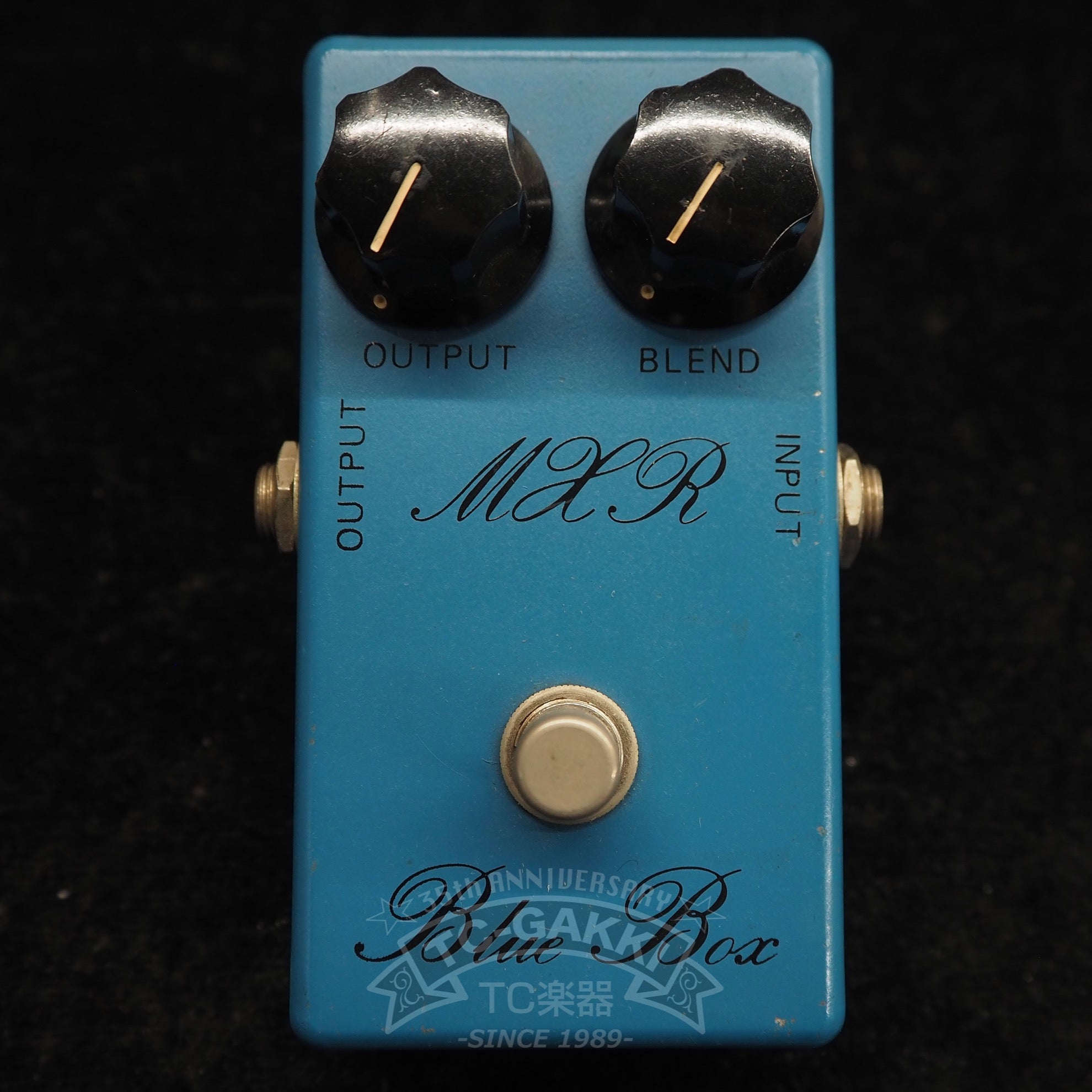 Blue Box (Script Logo/BUD Case) - TC楽器 - TCGAKKI