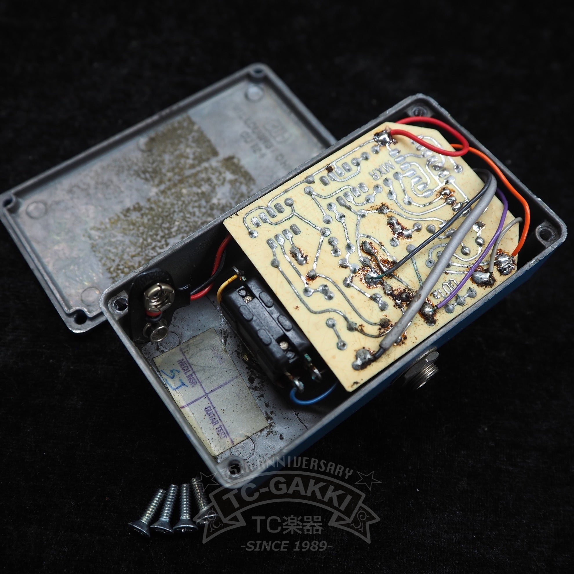 Blue Box (Script Logo/BUD Case) - TC楽器 - TCGAKKI