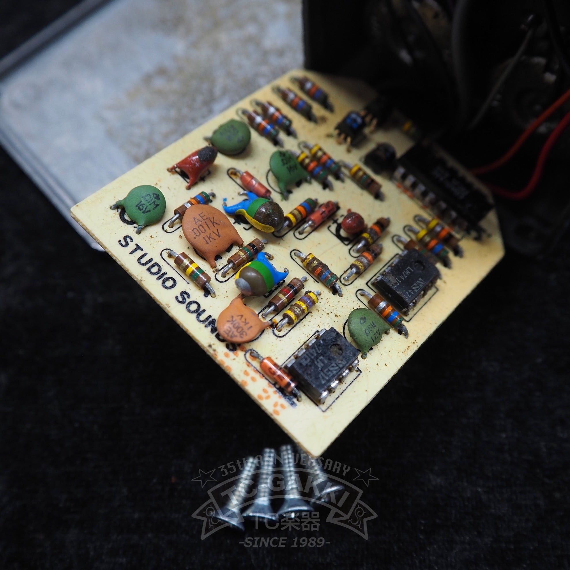 Blue Box (Script Logo/BUD Case) - TC楽器 - TCGAKKI