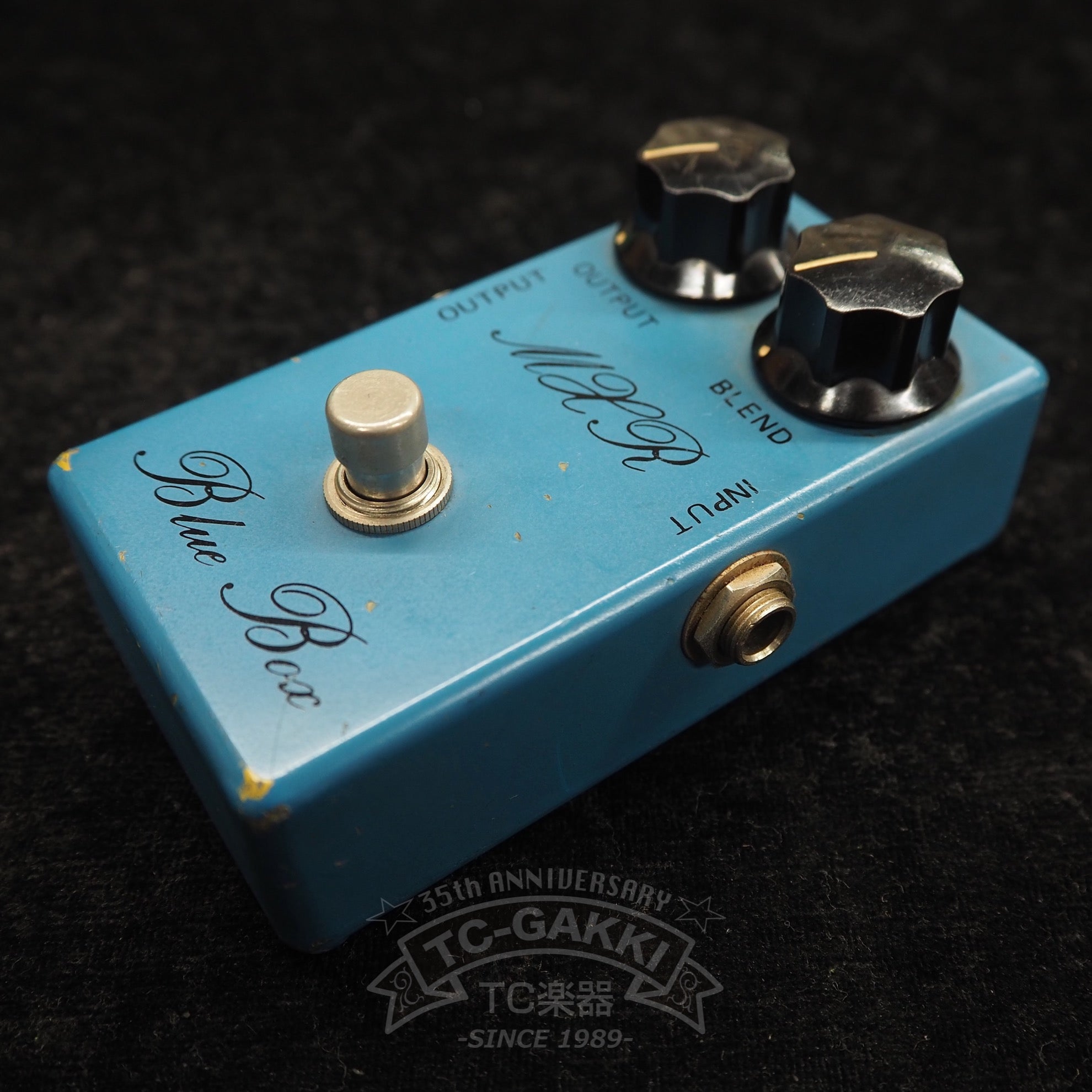 Blue Box (Script Logo/BUD Case) - TC楽器 - TCGAKKI