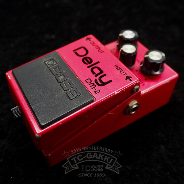 DM-2 Delay (JAPAN/Early Ver.) - TCGAKKI - TCGAKKI