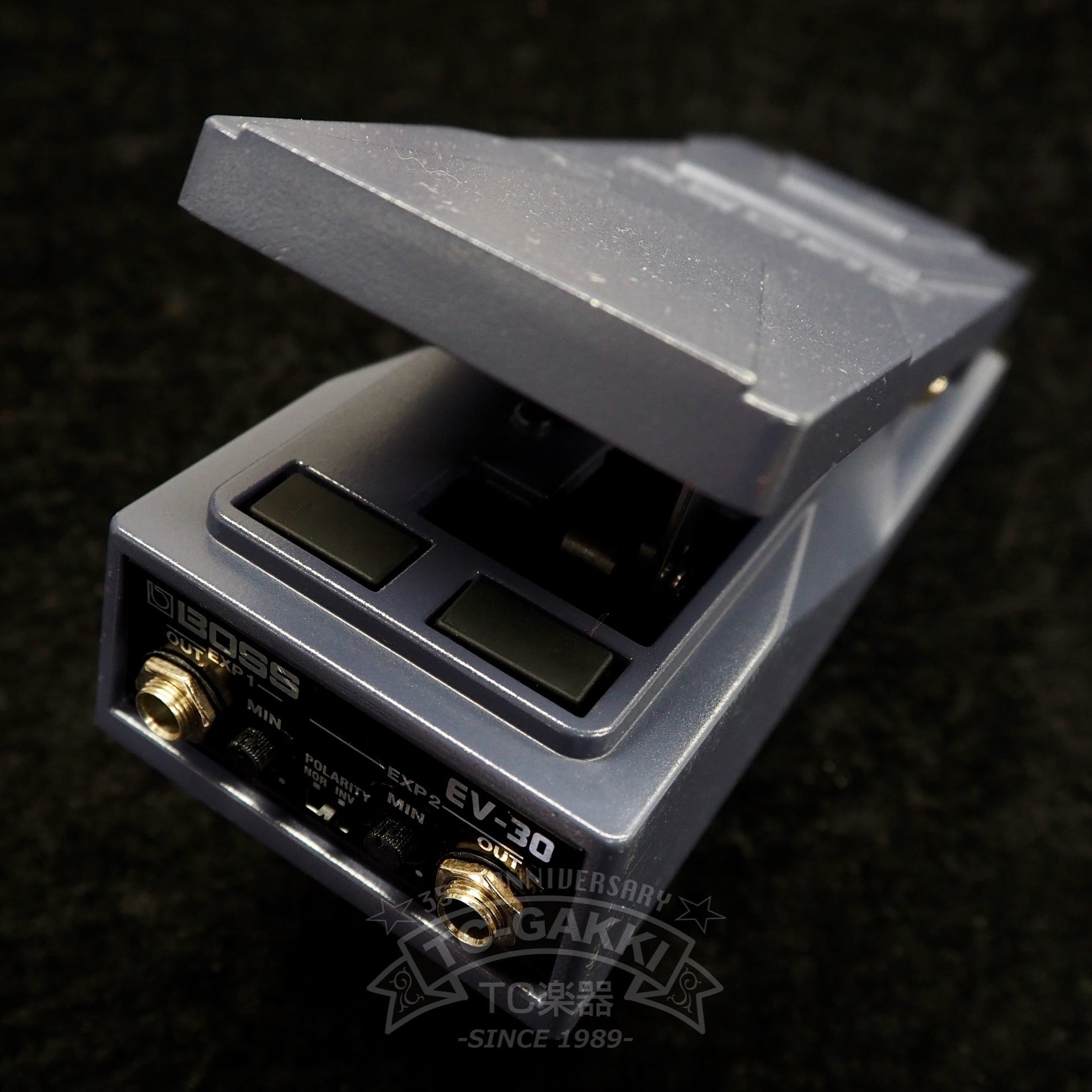 BOSS EV-30 DUAL EXPRESSION PEDAL
