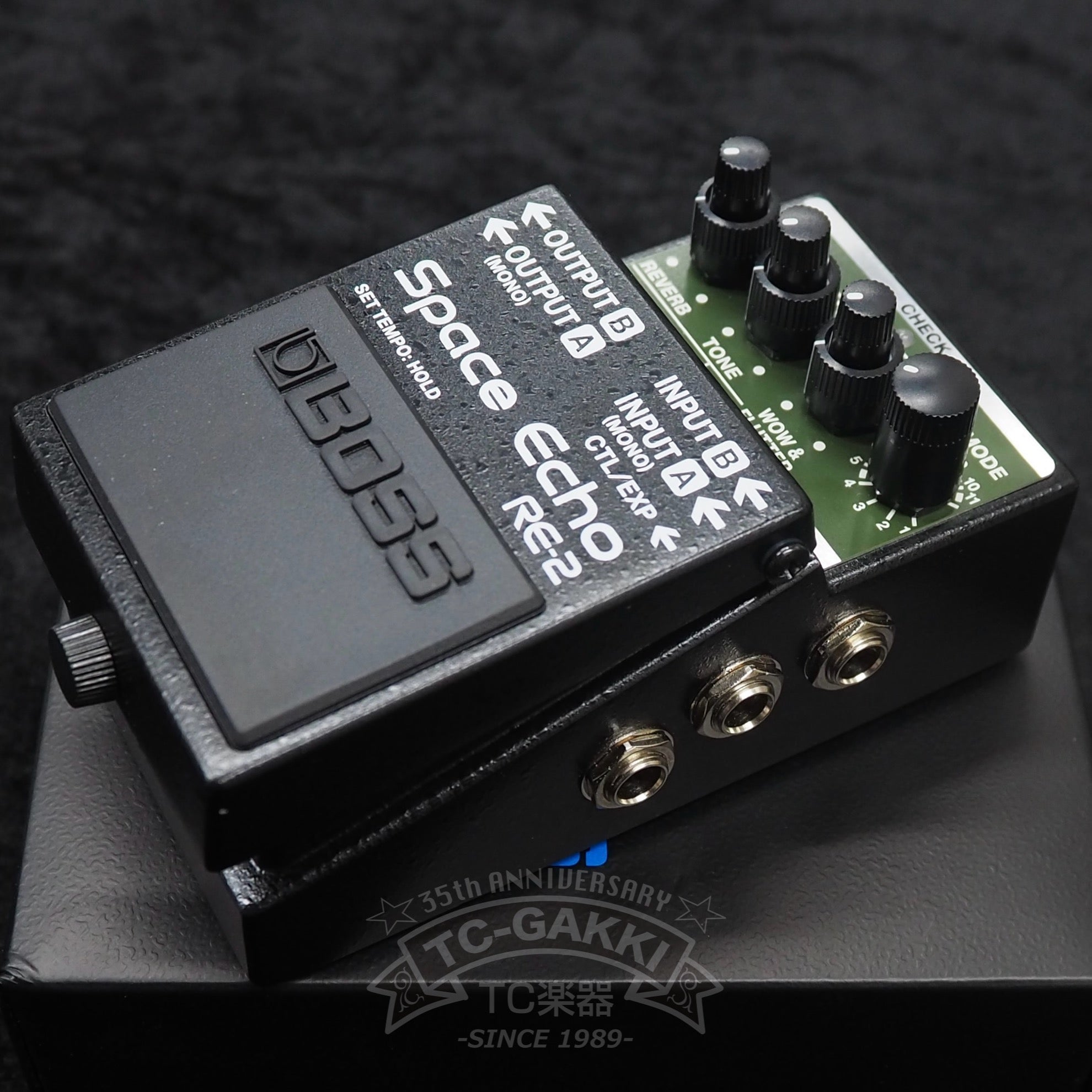 BOSS TE-2 Tera Echo
