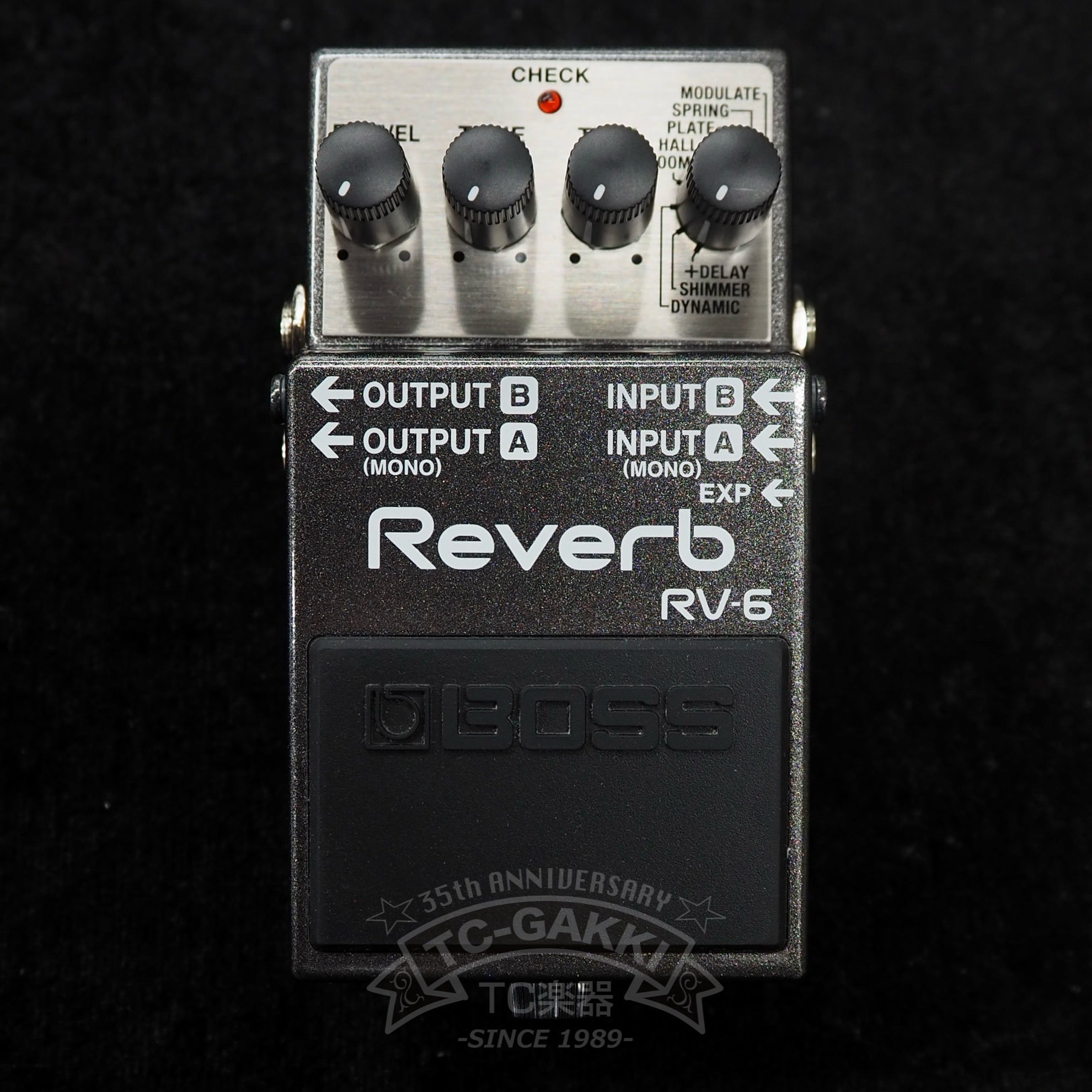 BOSS RV - 6 Reverb - TC楽器 - TCGAKKI