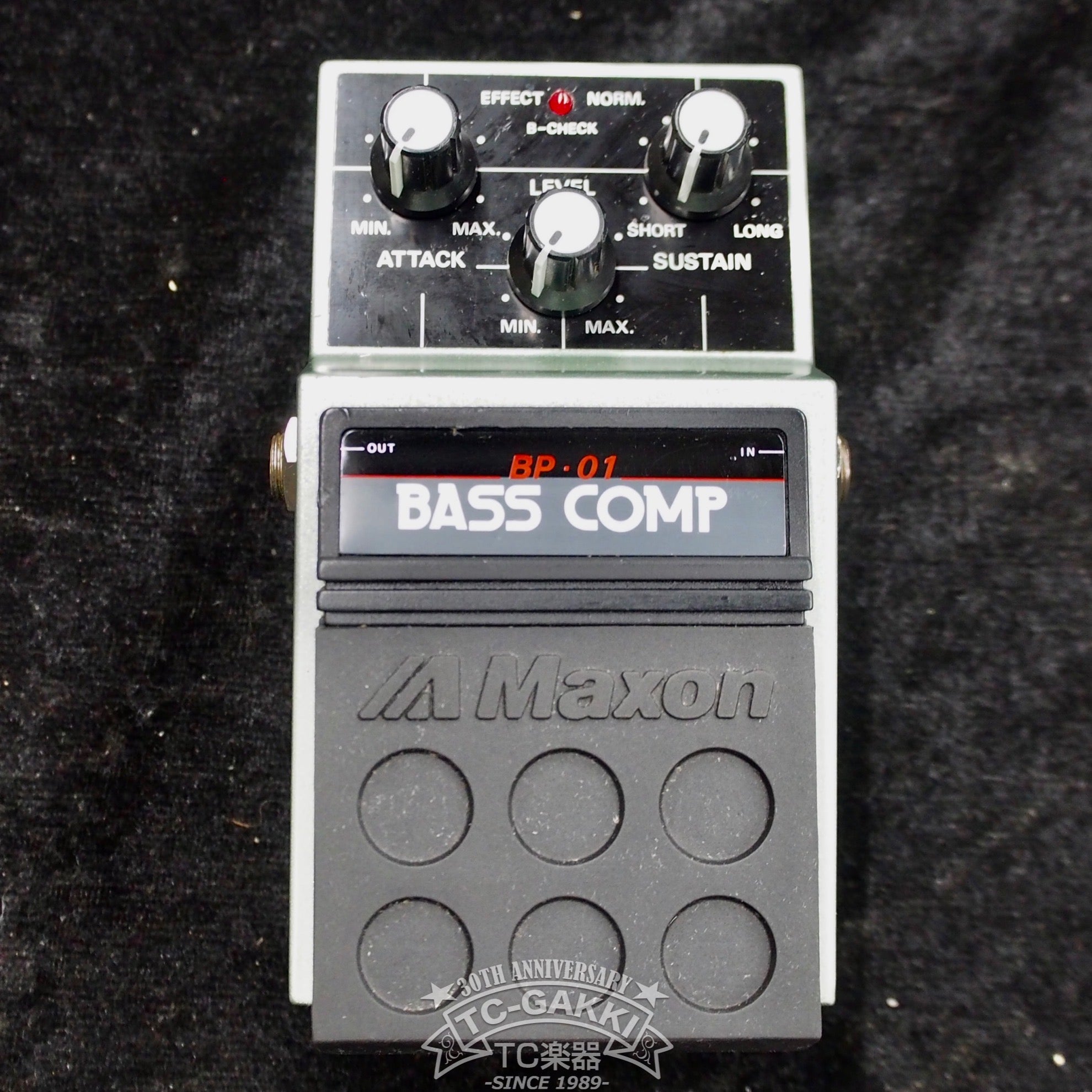 BP-01 BASS COMP - TC楽器 - TCGAKKI