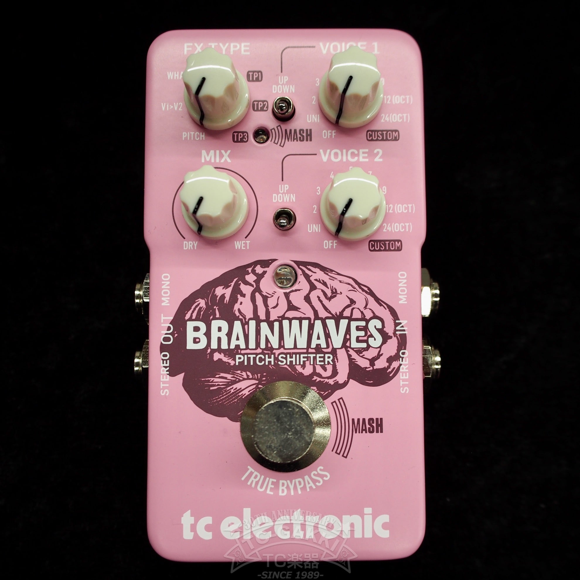 brainwaves-268955.jpg?v= 