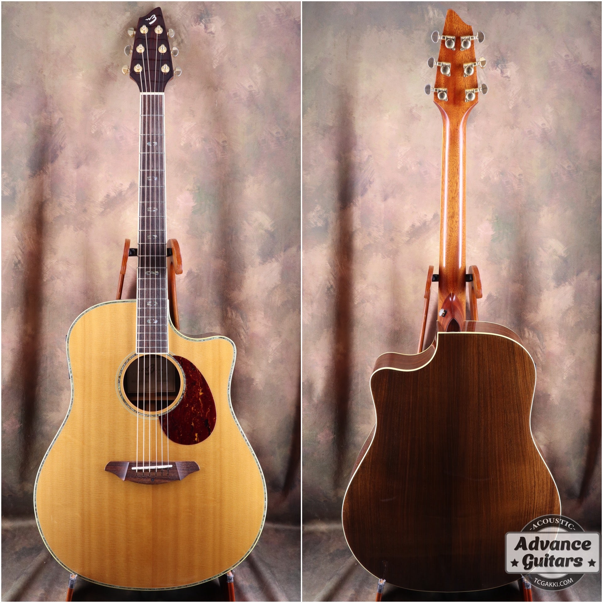 Breedlove AD25/SR PLUS - TC楽器 - TCGAKKI