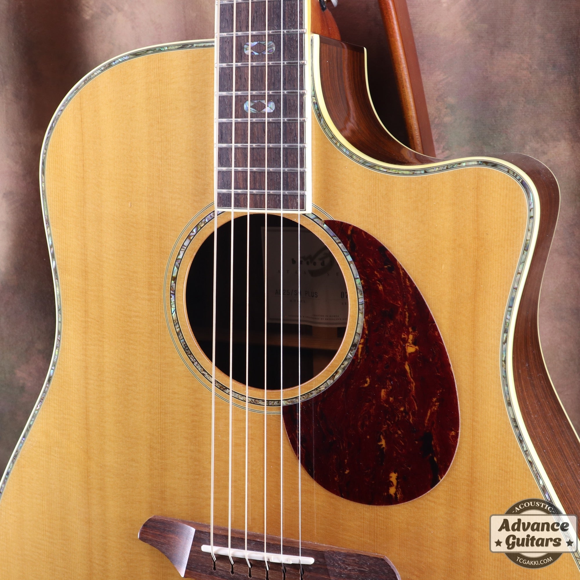 Breedlove AD25/SR PLUS