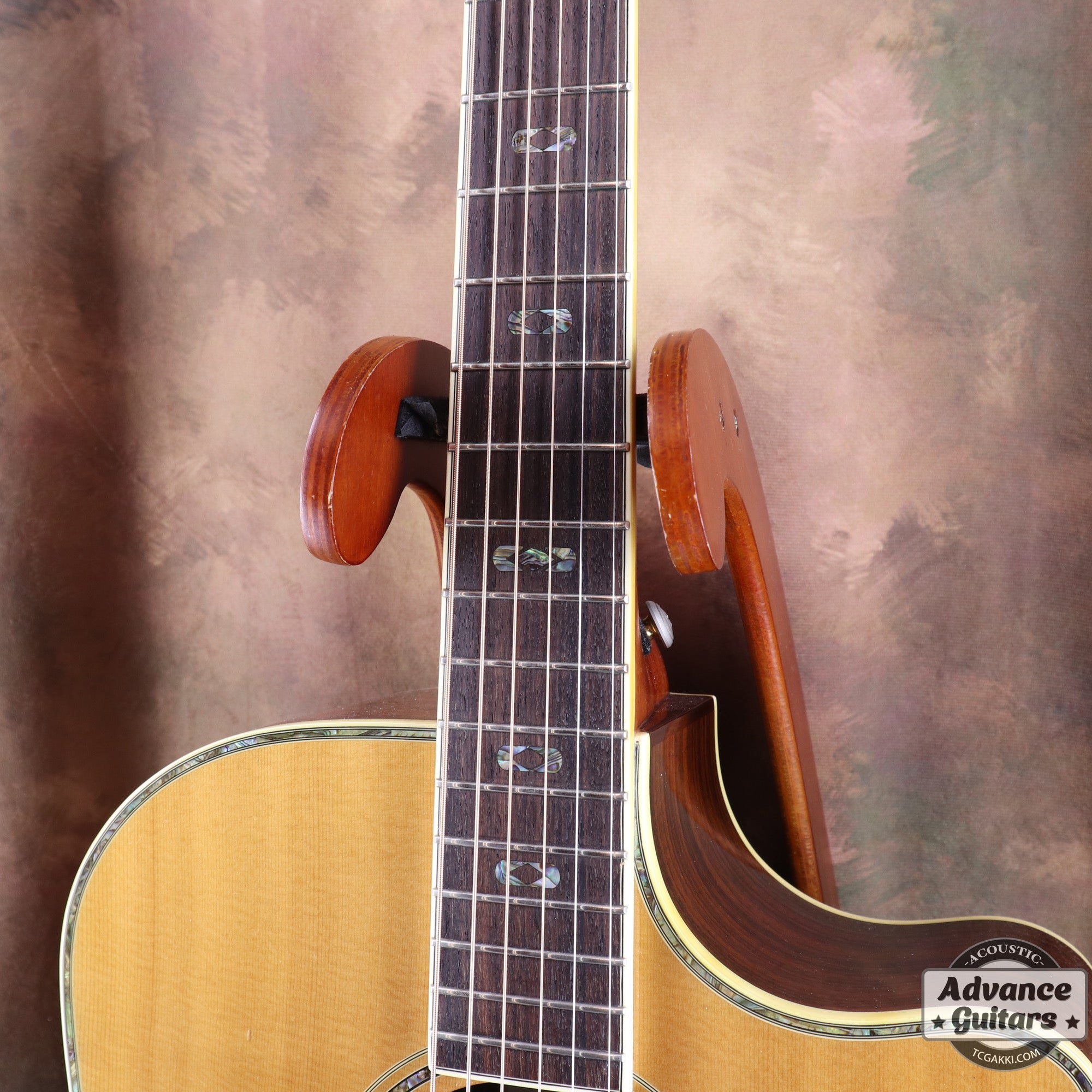 Breedlove AD25/SR PLUS
