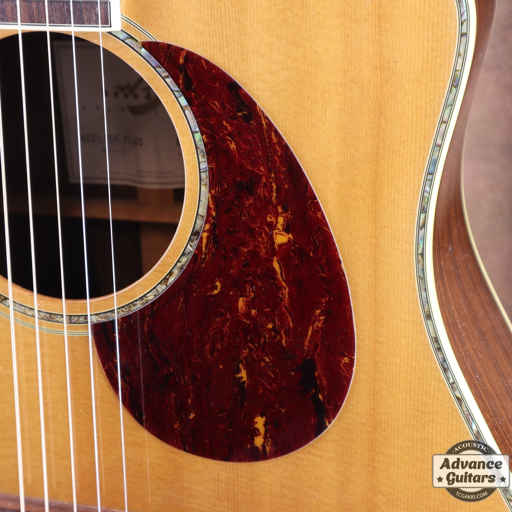 Breedlove AD25/SR PLUS